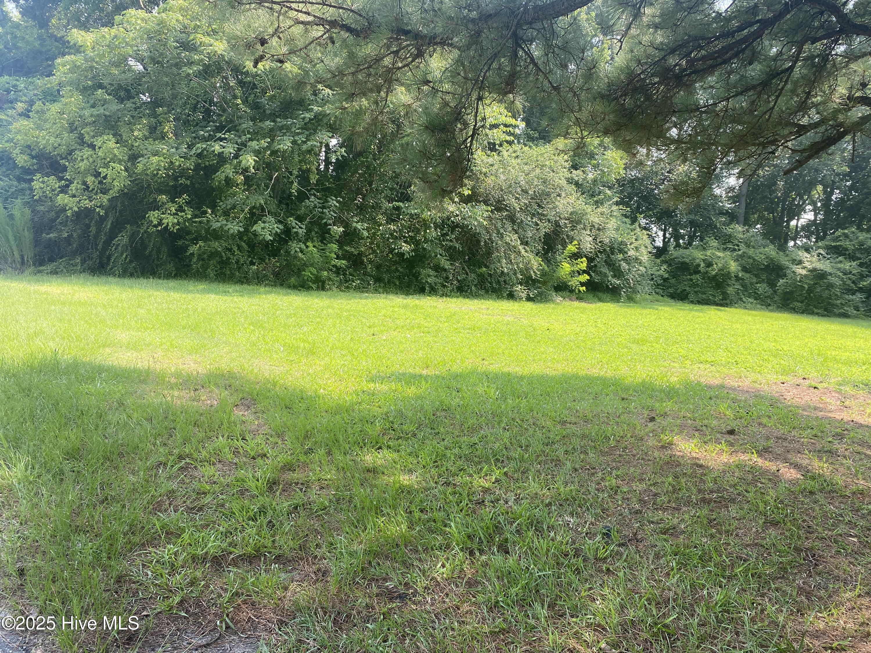 413 Pecan Street Property Photo 5