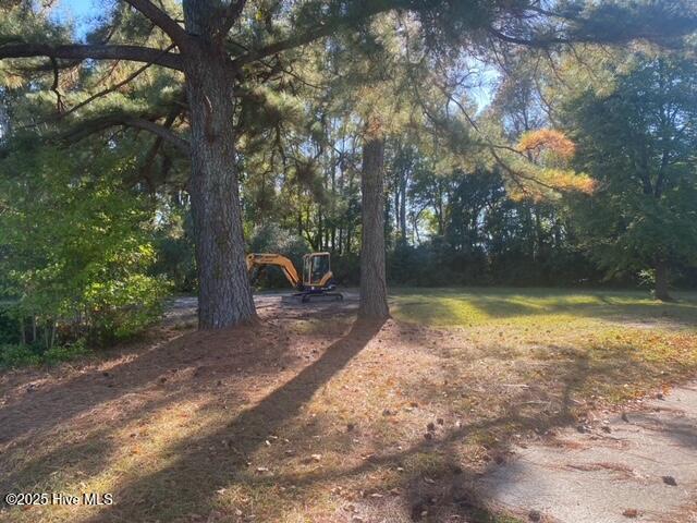 413 Pecan Street Property Photo 6