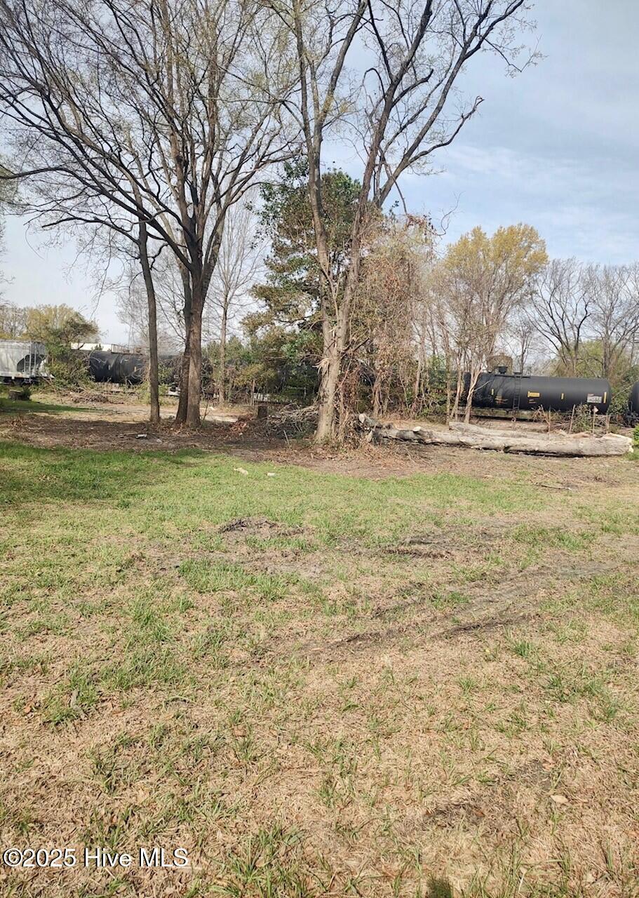 813 Ramsey Street Property Photo 6