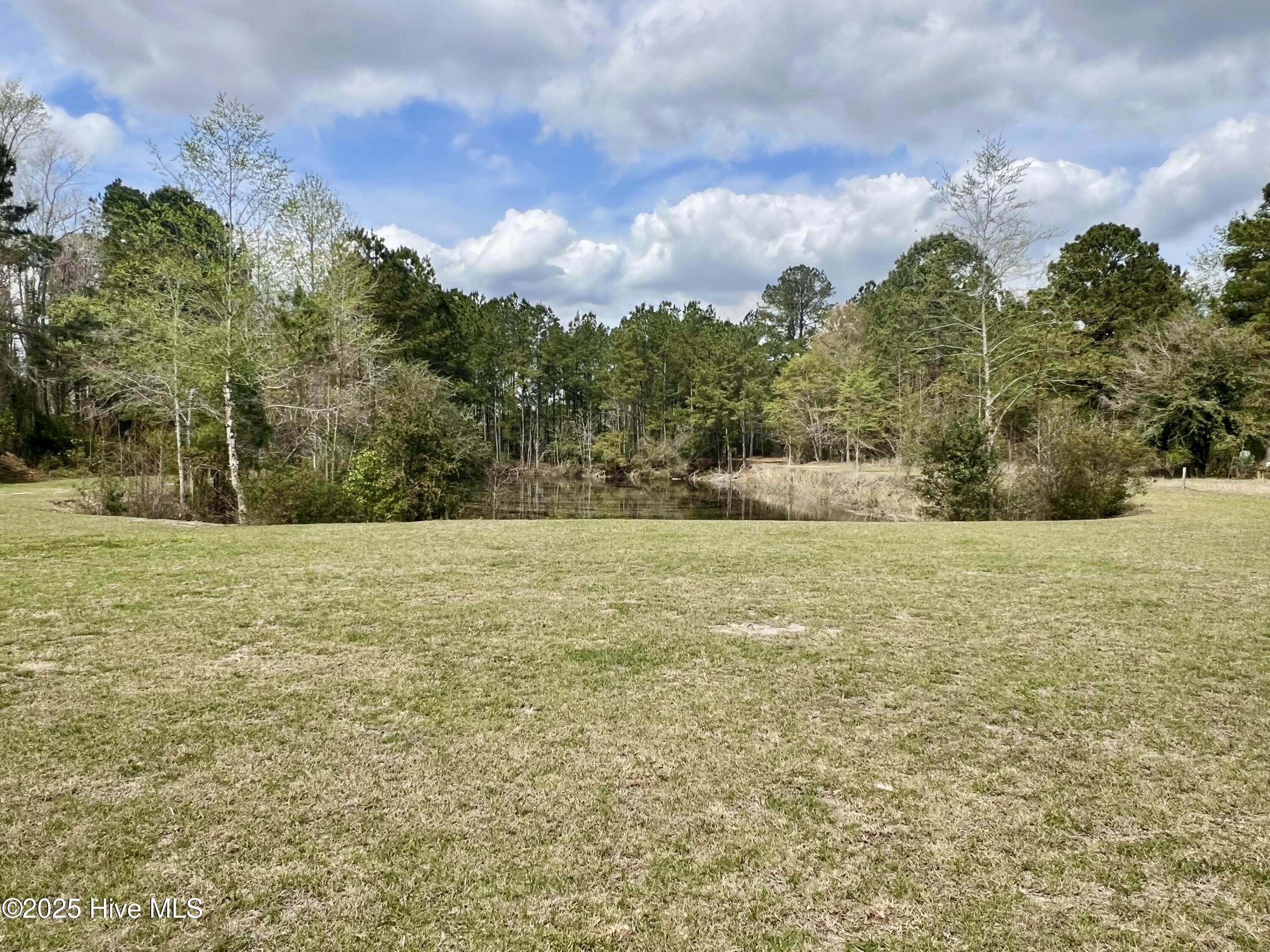 5131 Haynes Lennon Highway Property Photo 33