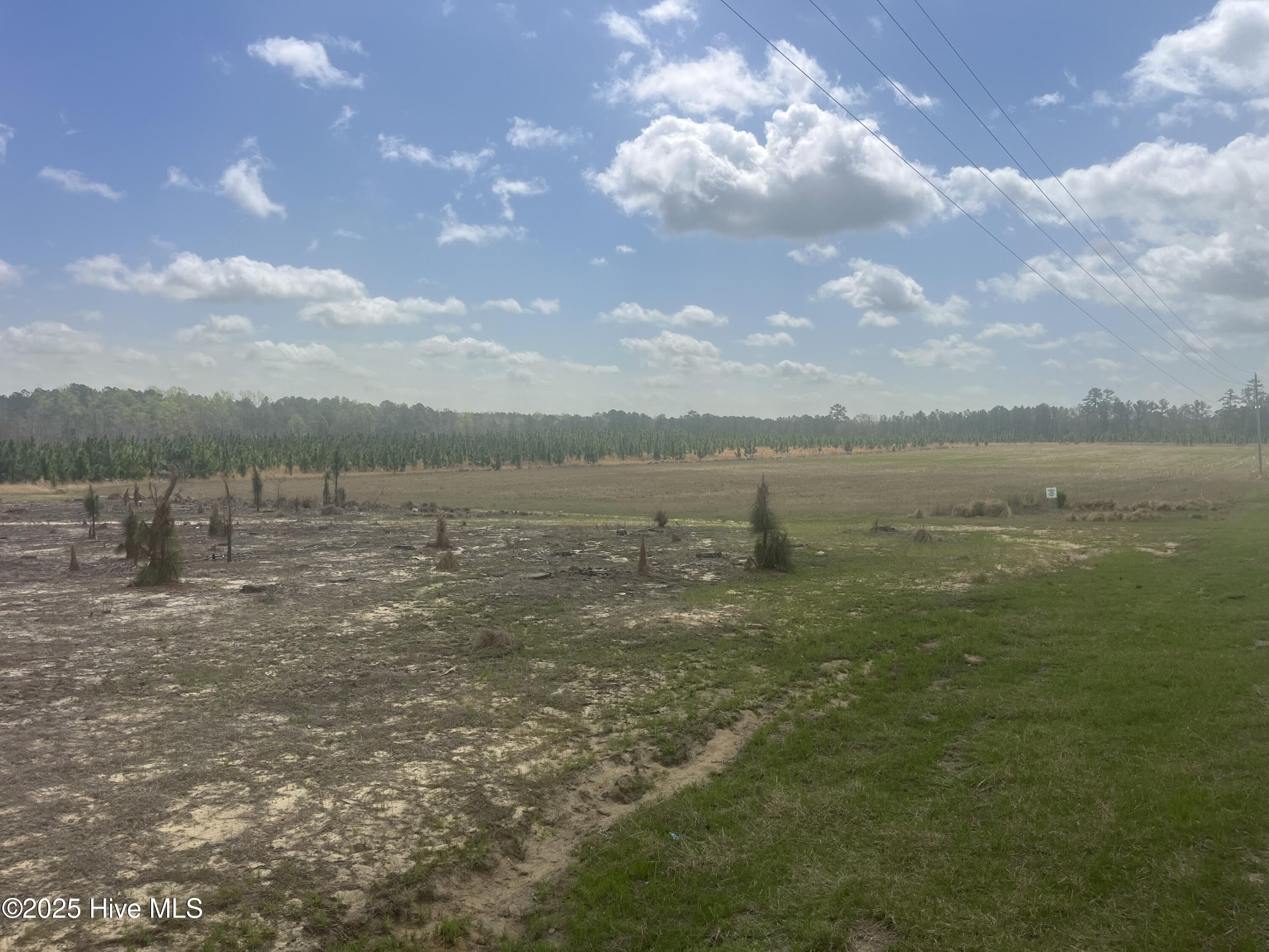 1671 Currie Mill Road Property Photo 3