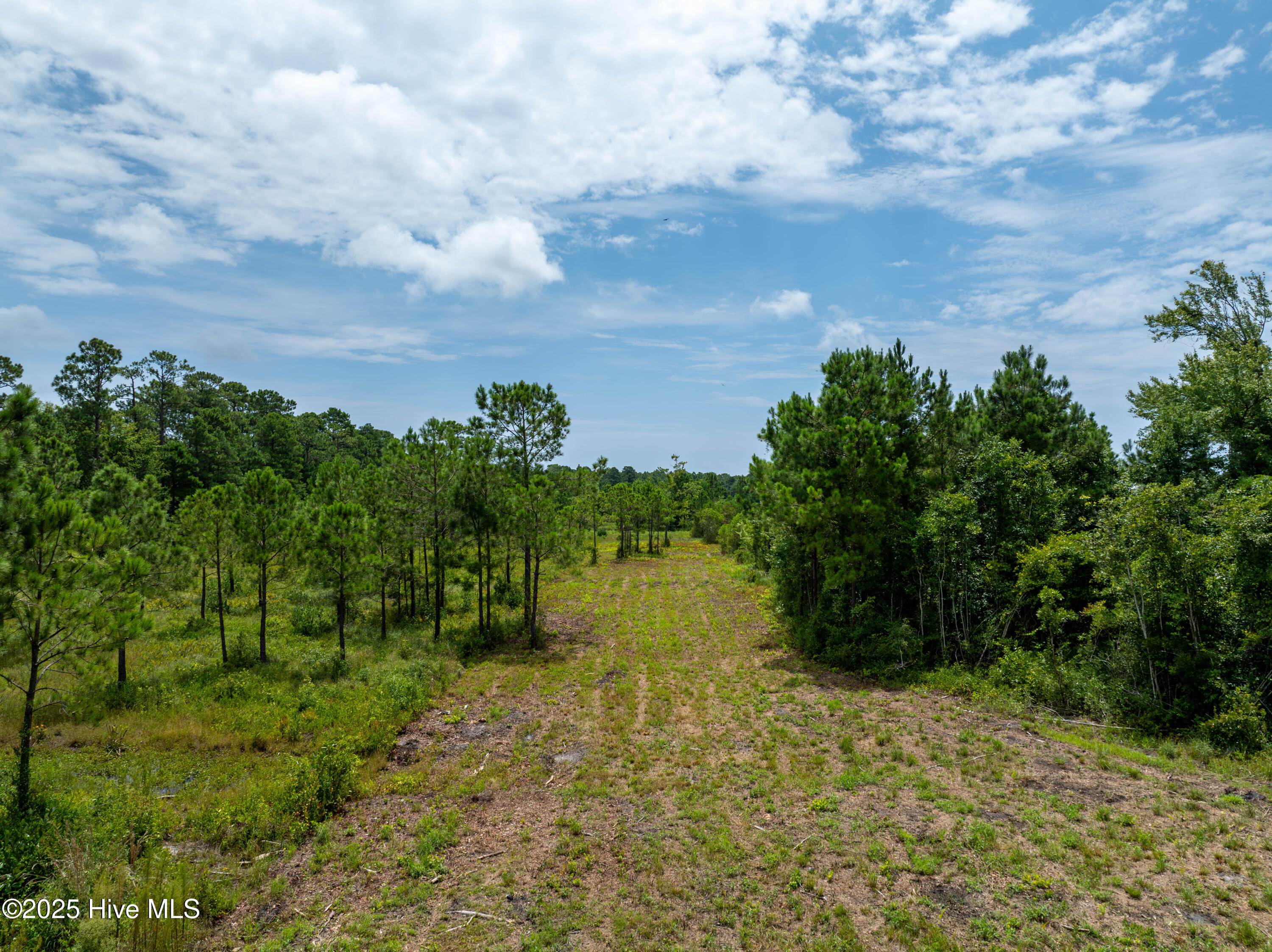 Tbd Nc Hwy 17 Property Photo 1
