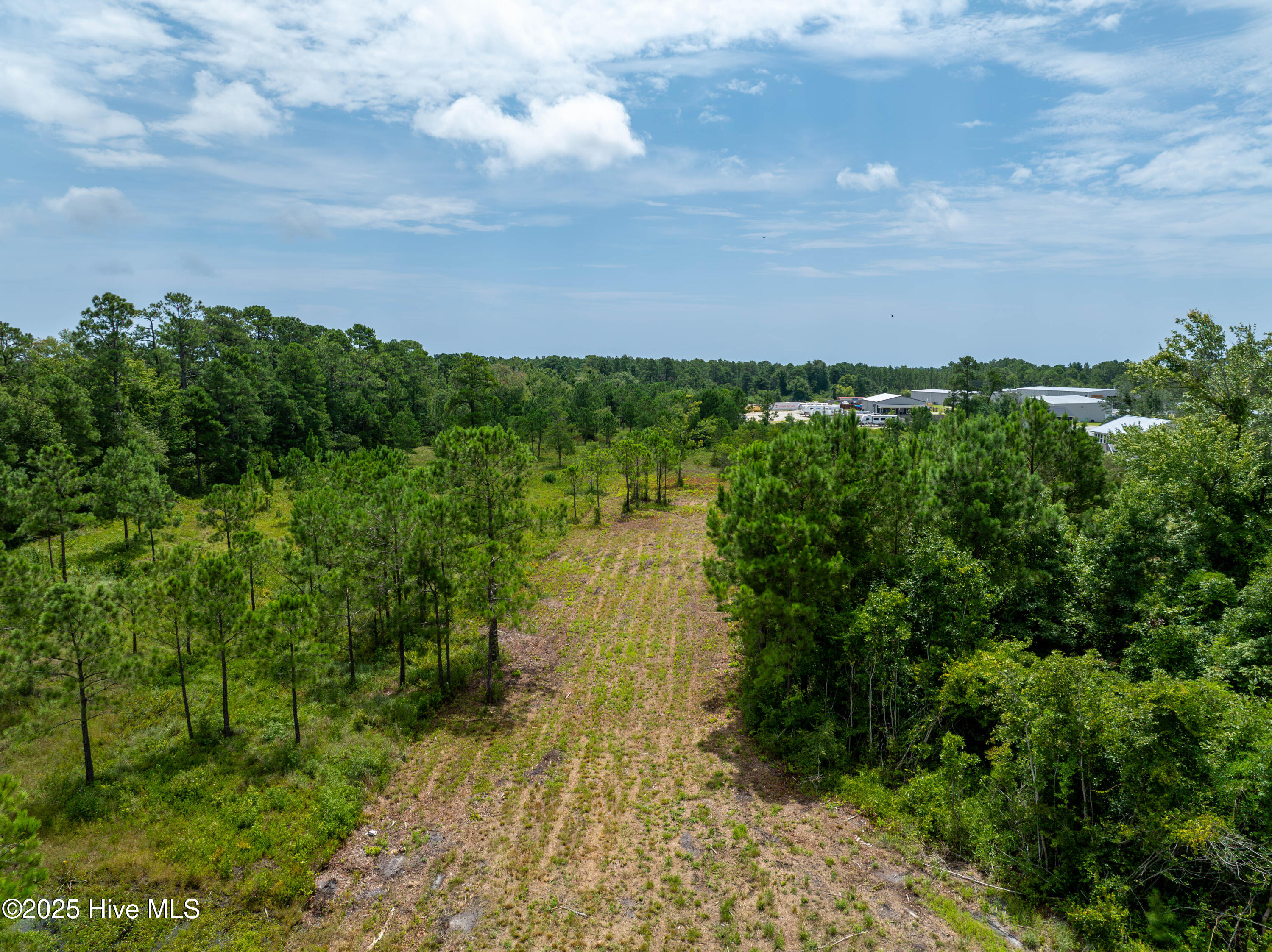 Tbd Nc Hwy 17 Property Photo 2
