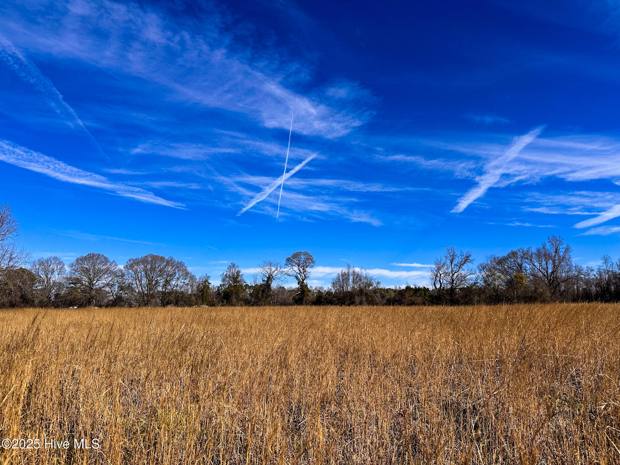 #1 Snake Road Property Photo 1