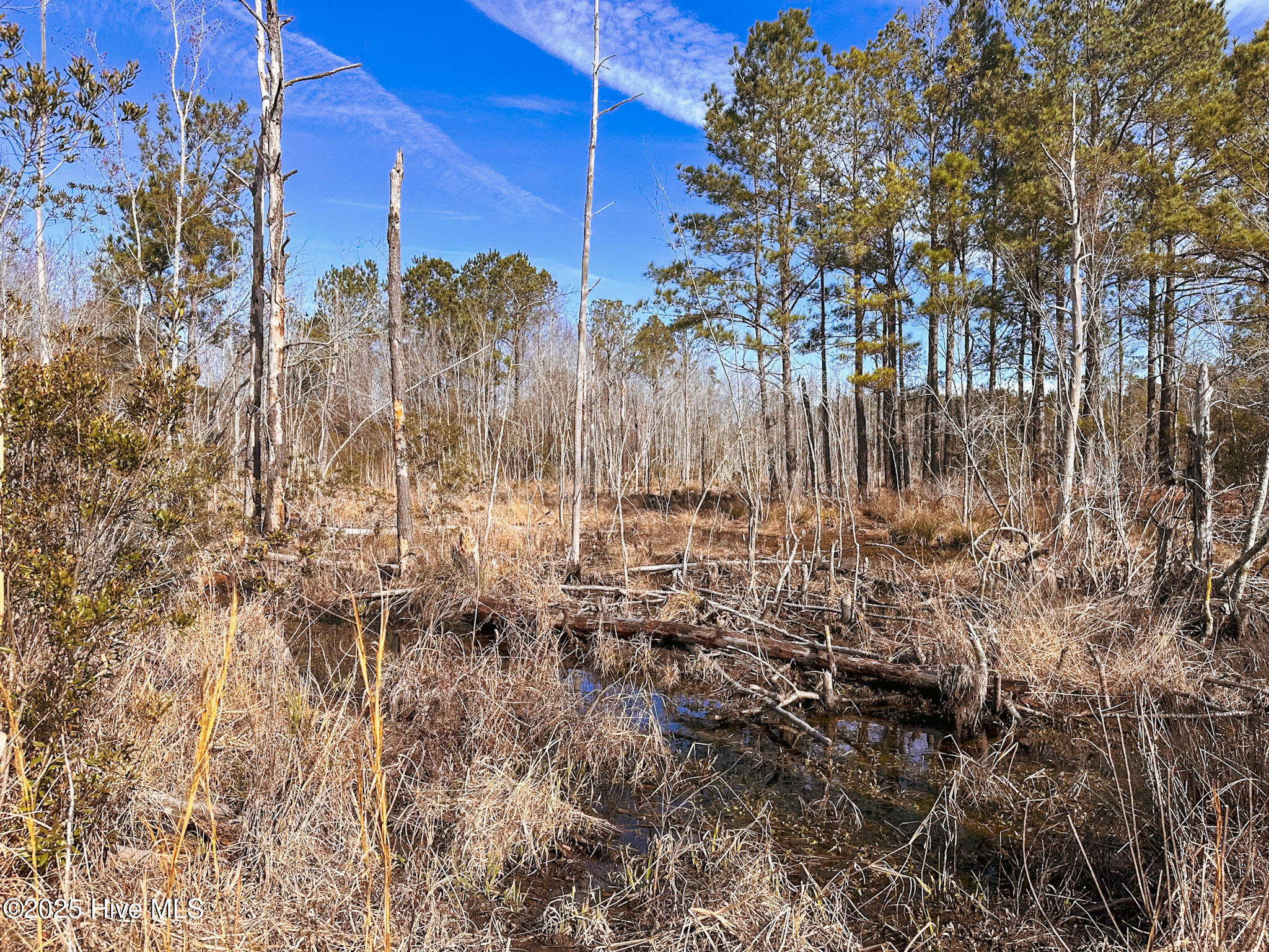 #1 Snake Road Property Photo 4