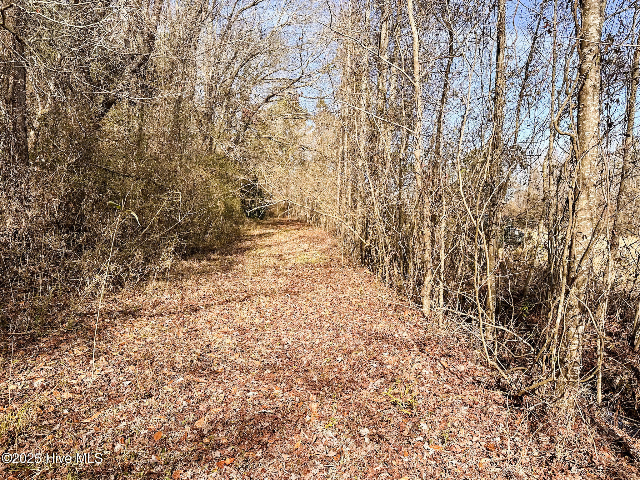 #1 Snake Road Property Photo 7