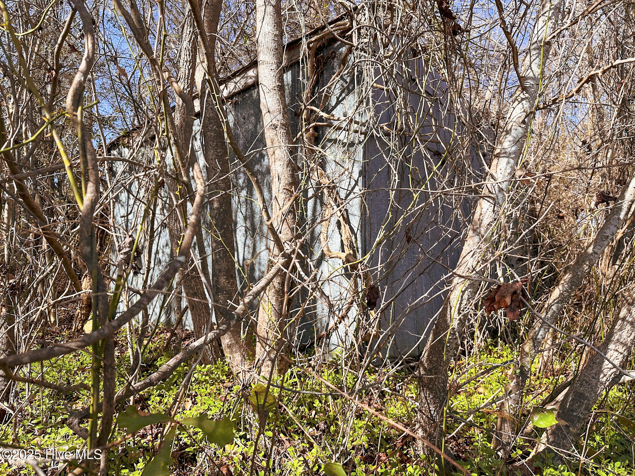 #1 Snake Road Property Photo 9