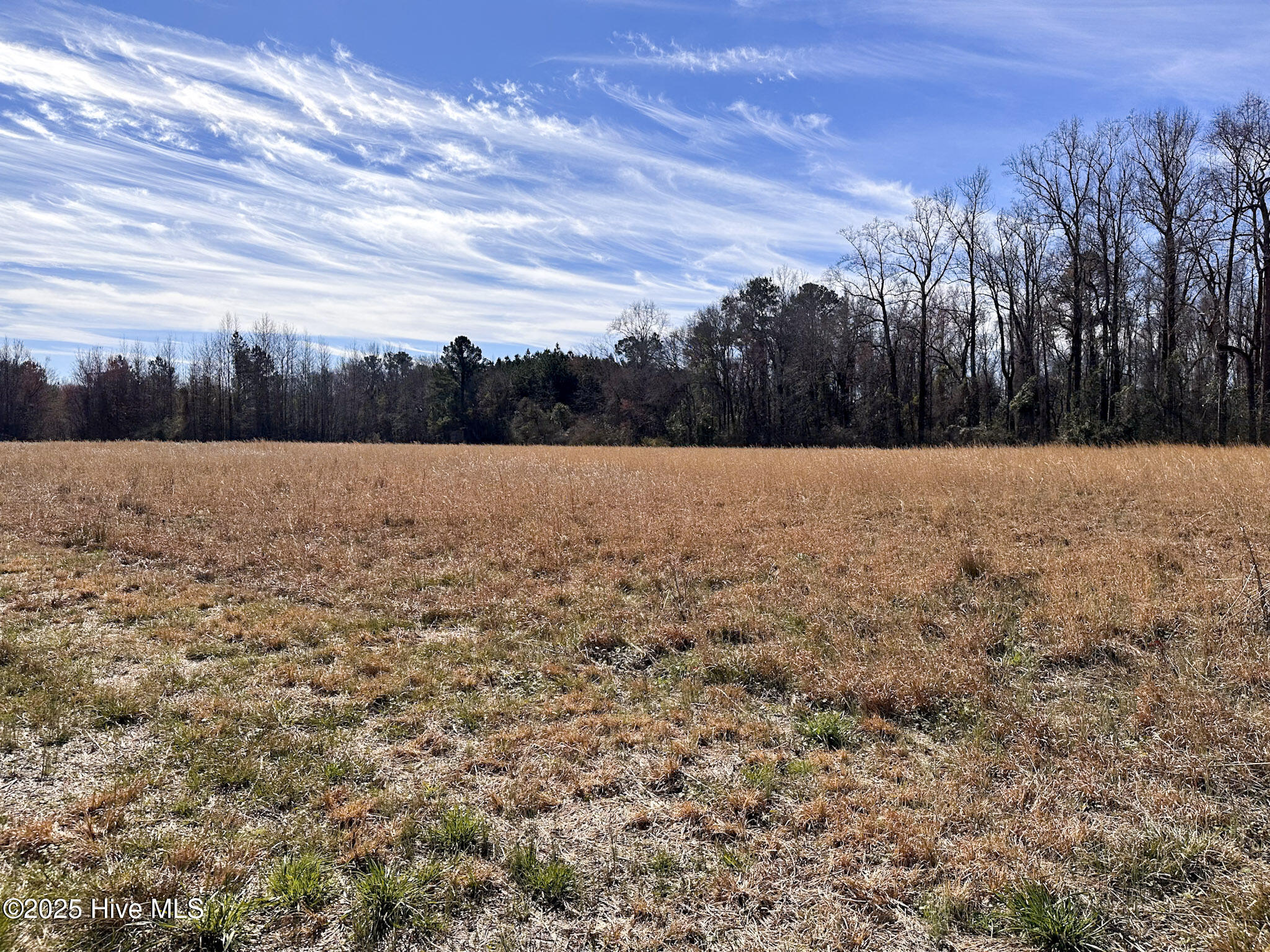 #1 Snake Road Property Photo 11