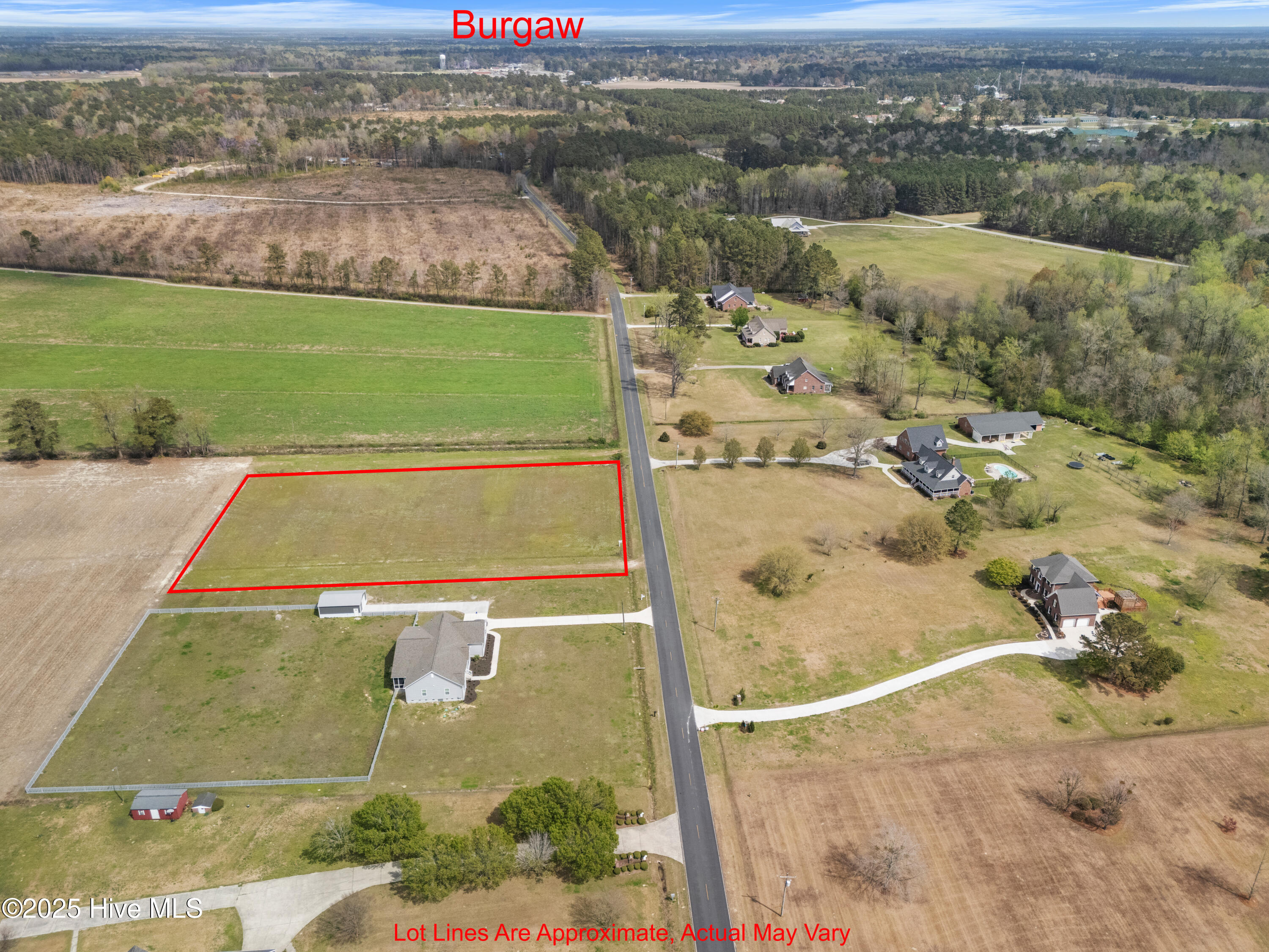 0 Piney Woods Road Property Photo 6
