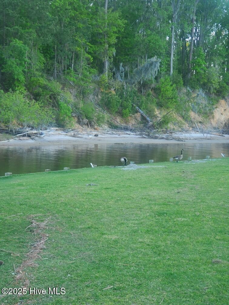 Lot 44 River Road Property Photo 3