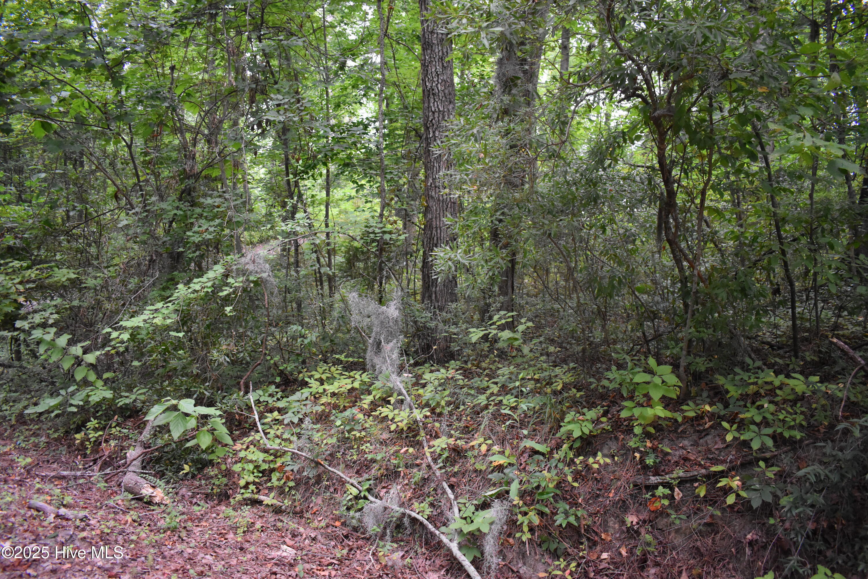Lot 44 River Road Property Photo 8