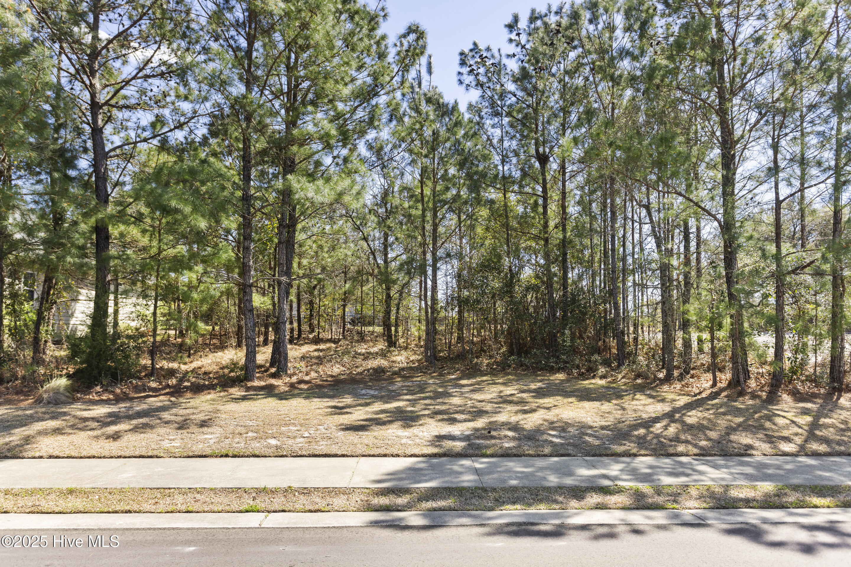 3020 Arundel Hill Property Photo 65