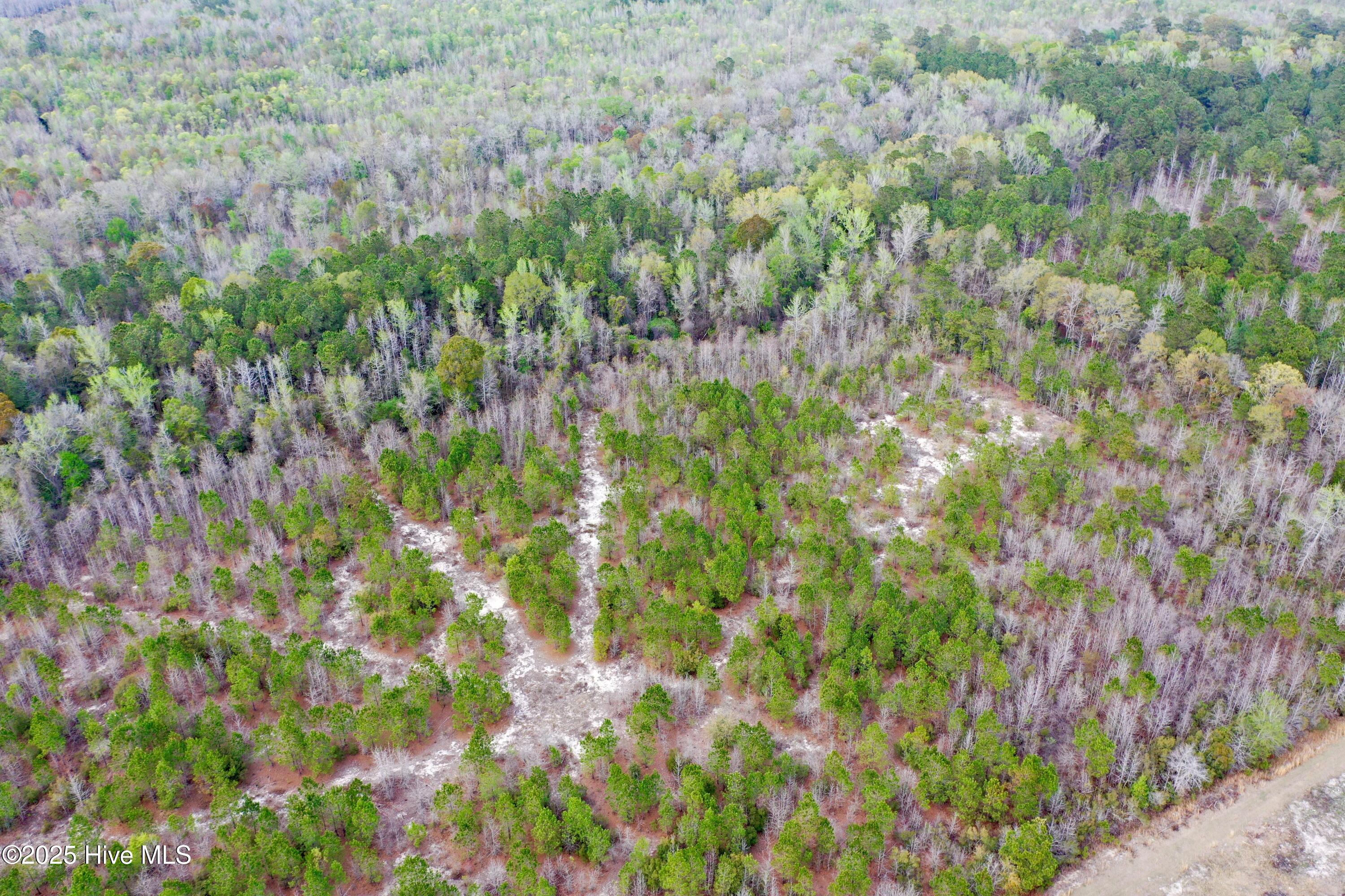 Tbd Andrew Lakes Drive Property Photo 4