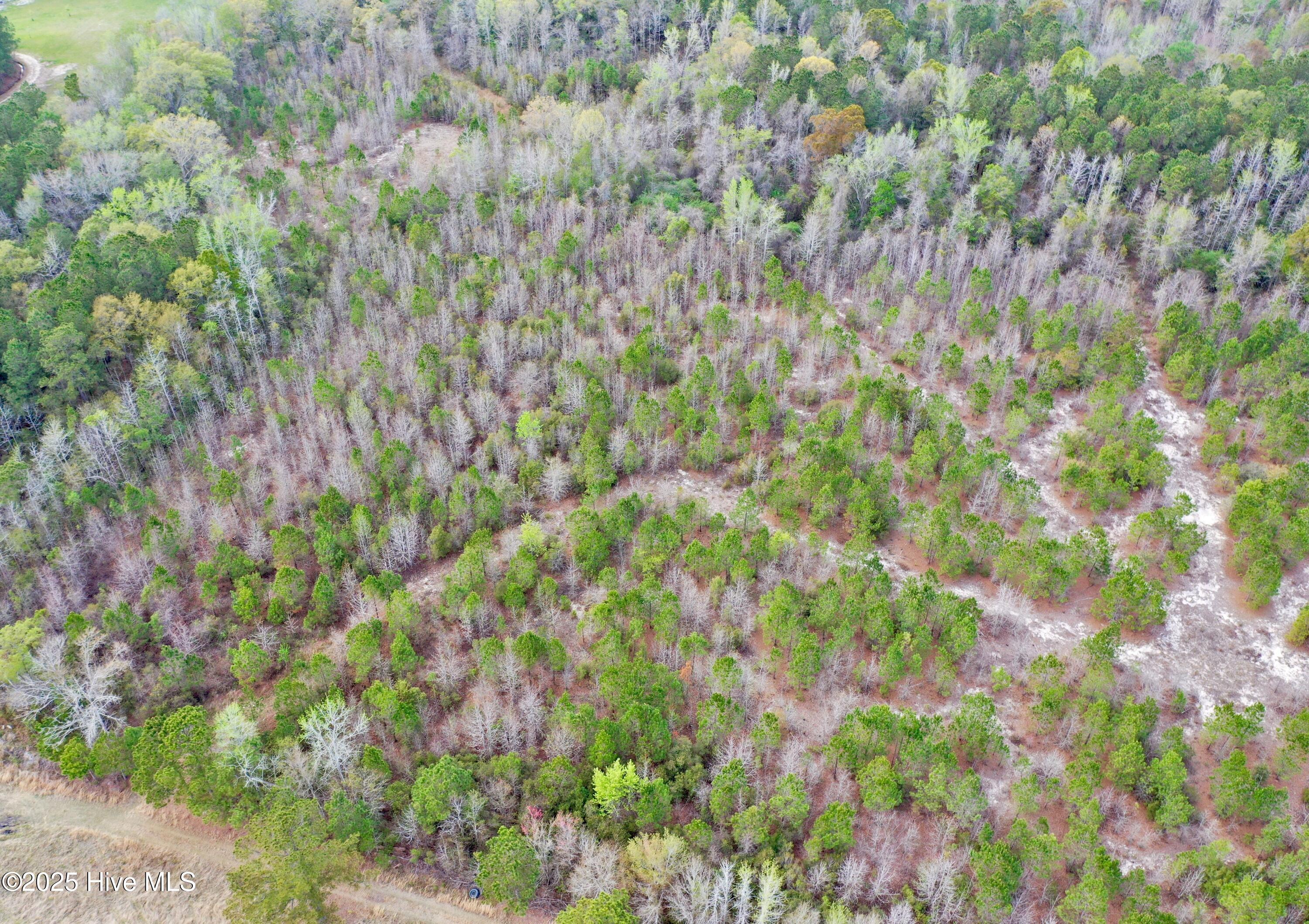 Tbd Andrew Lakes Drive Property Photo 6
