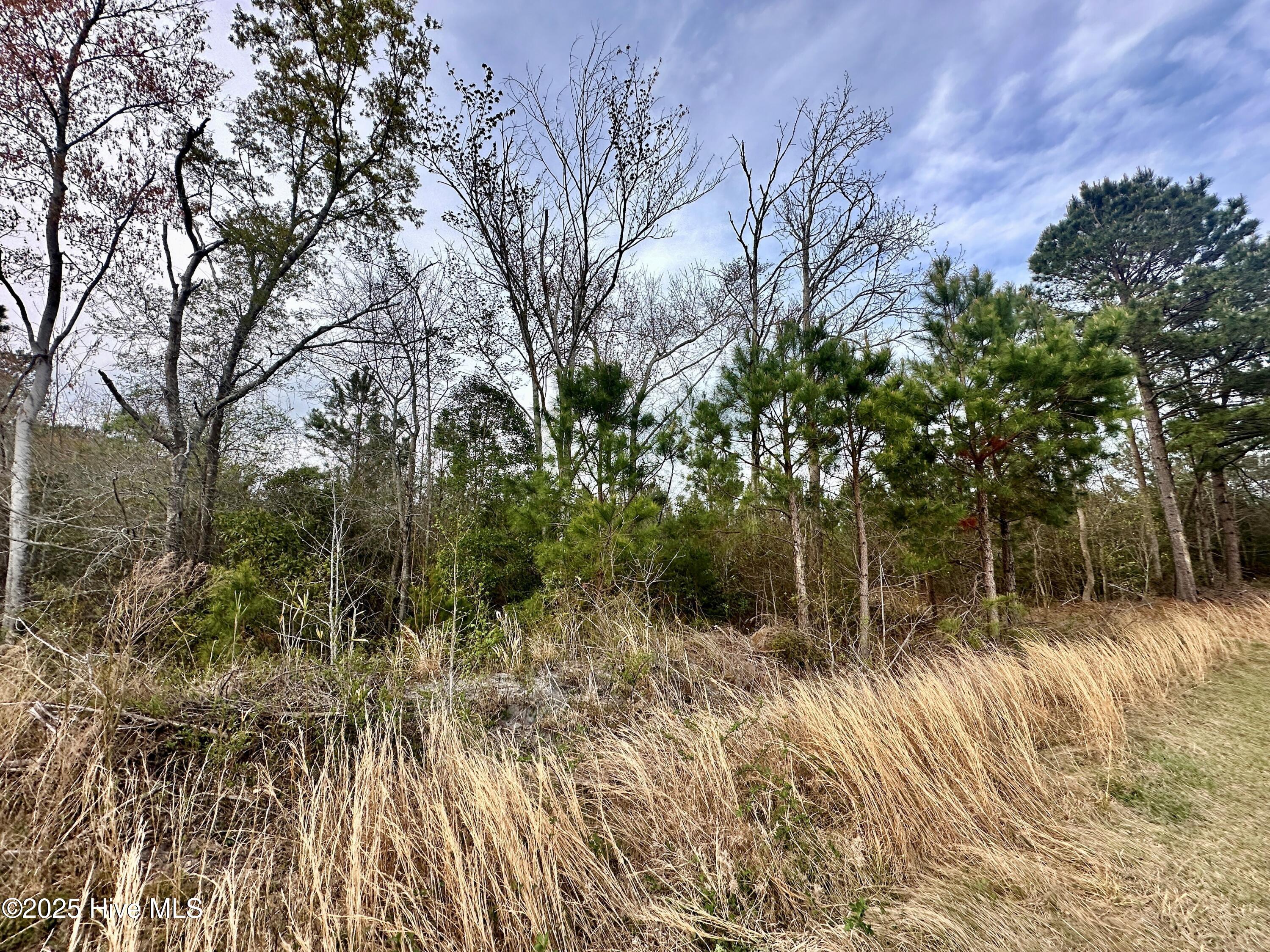 Tbd Andrew Lakes Drive Property Photo 8