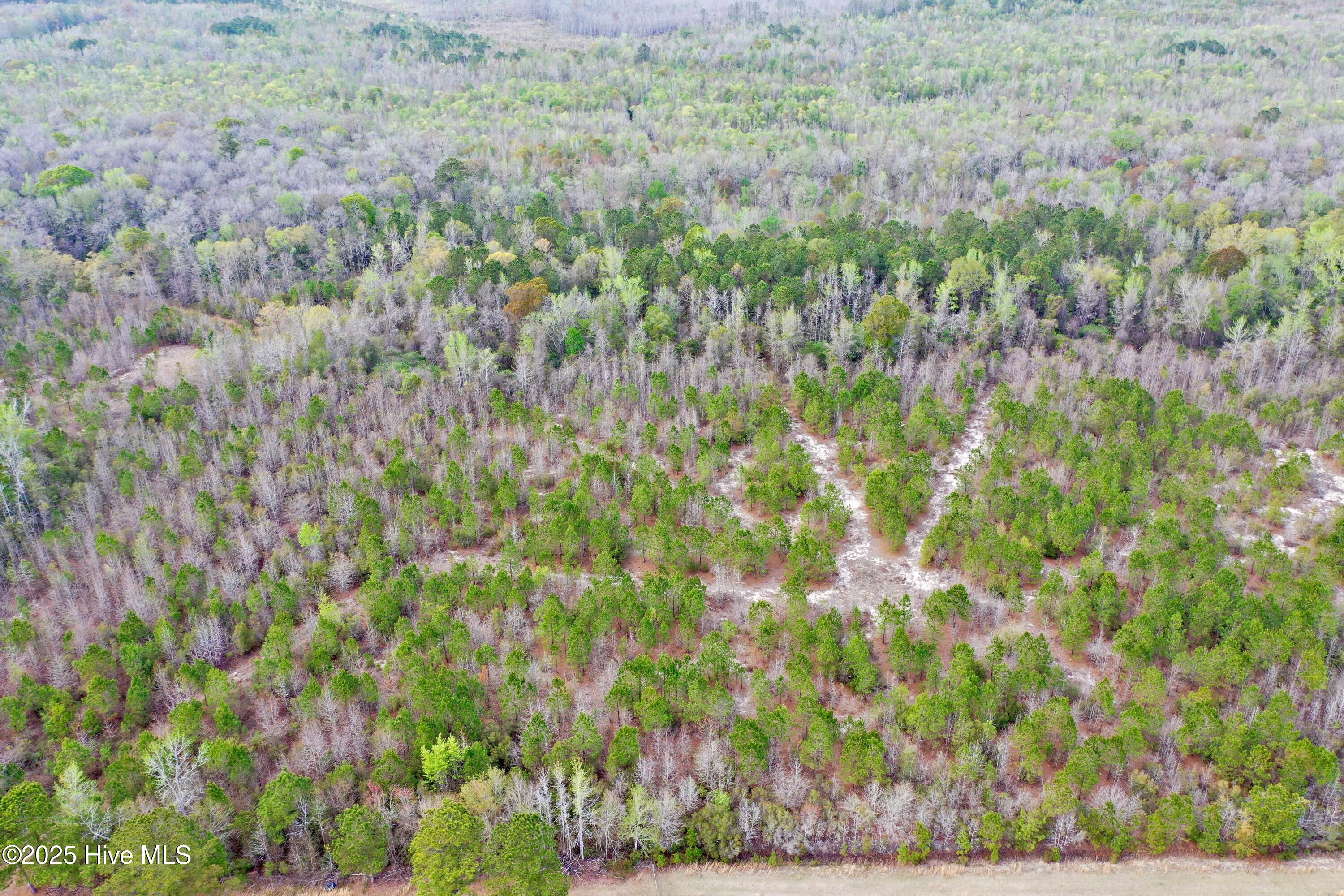 Tbd Andrew Lakes Drive Property Photo 9