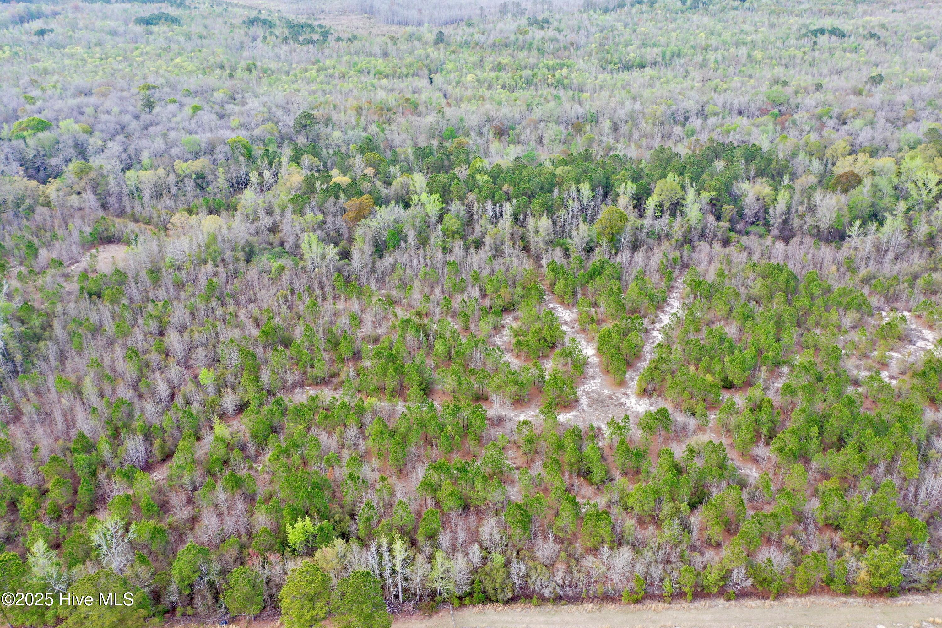 Tbd Andrew Lakes Drive Property Photo 10