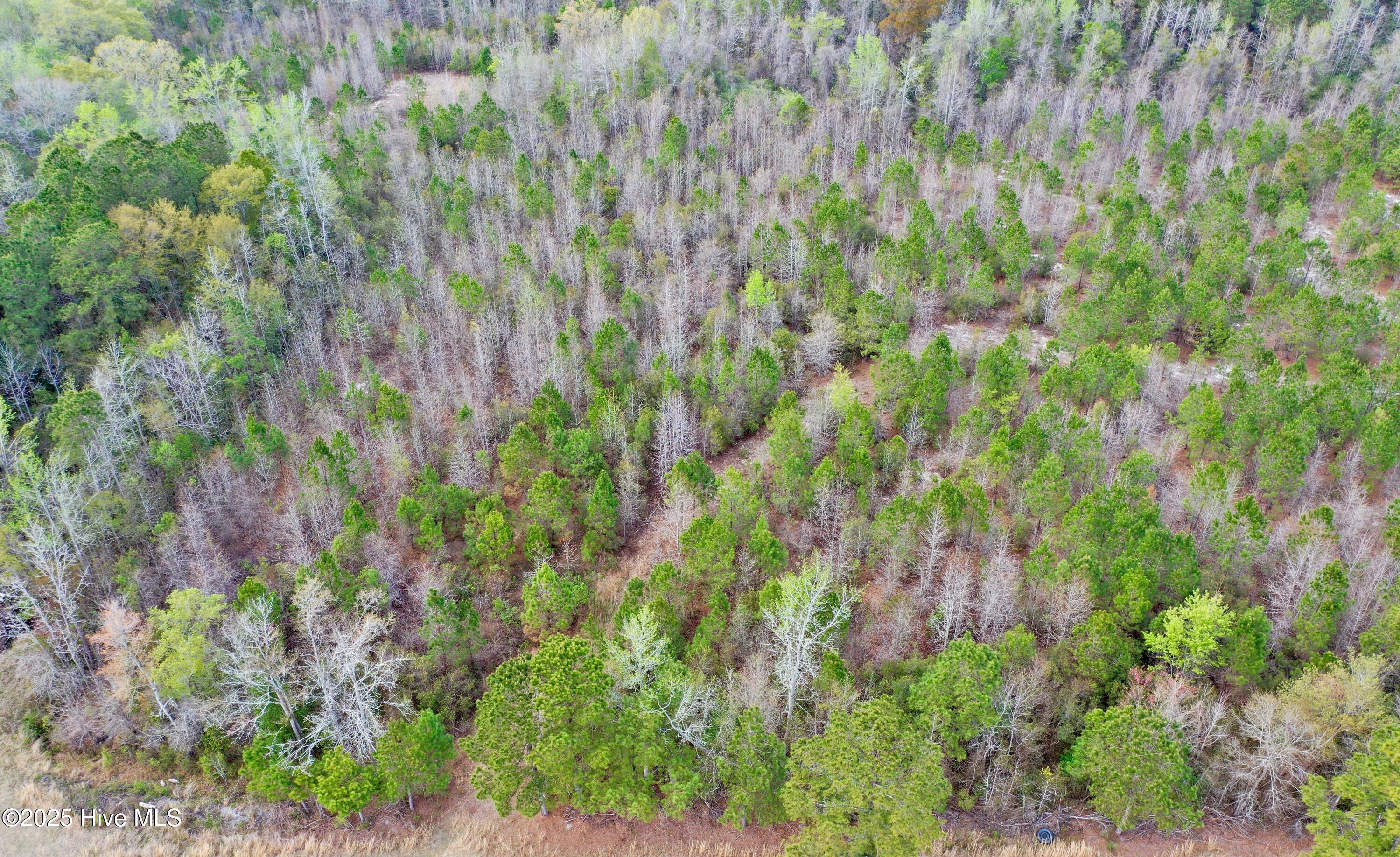 Tbd Andrew Lakes Drive Property Photo 11