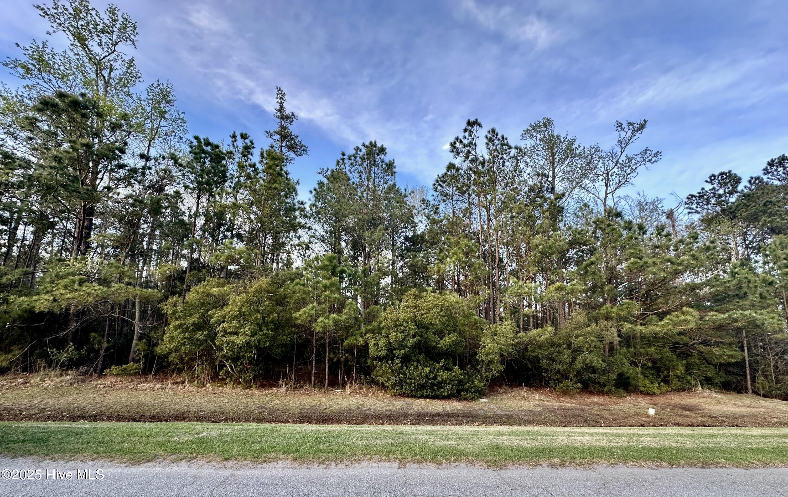 217 E Dowry Creek Property Photo