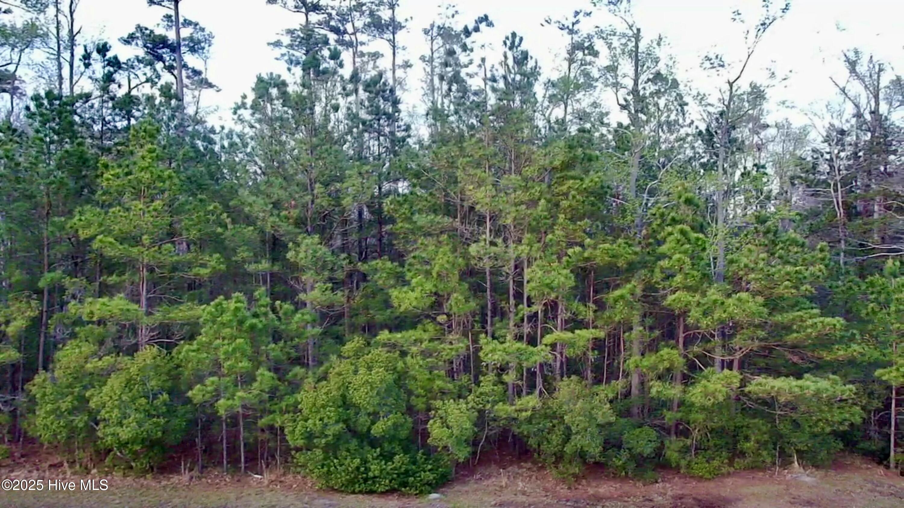 217 E Dowry Creek Property Photo 2