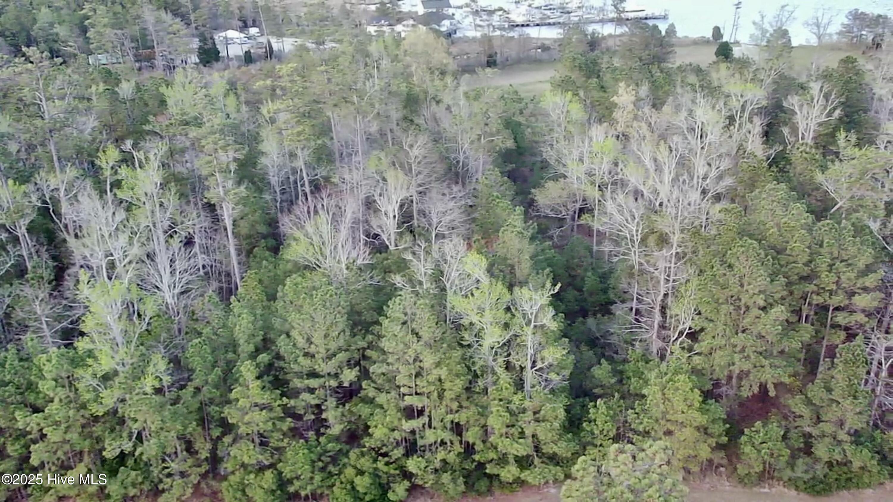 217 E Dowry Creek Property Photo 3