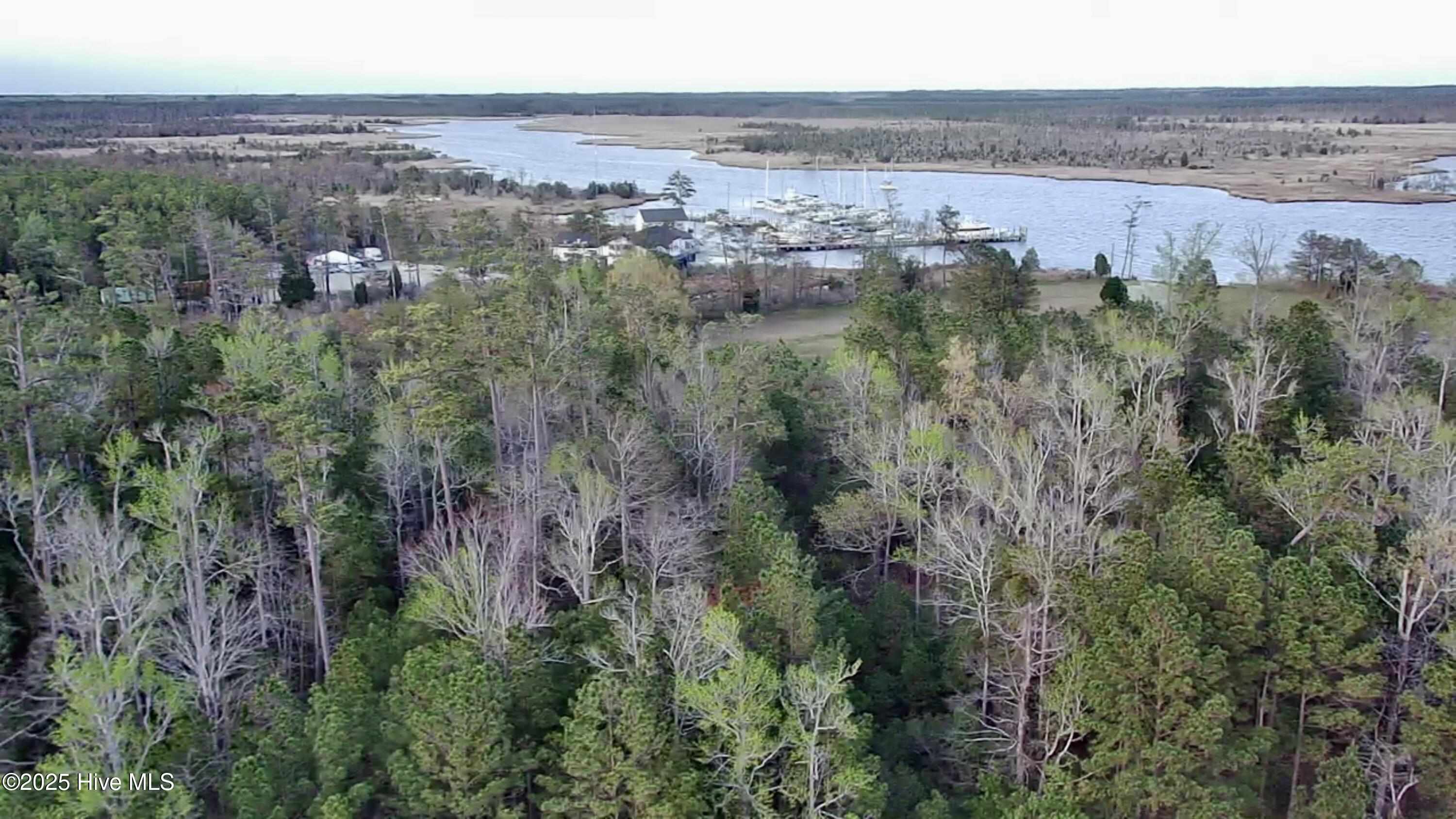 217 E Dowry Creek Property Photo 4