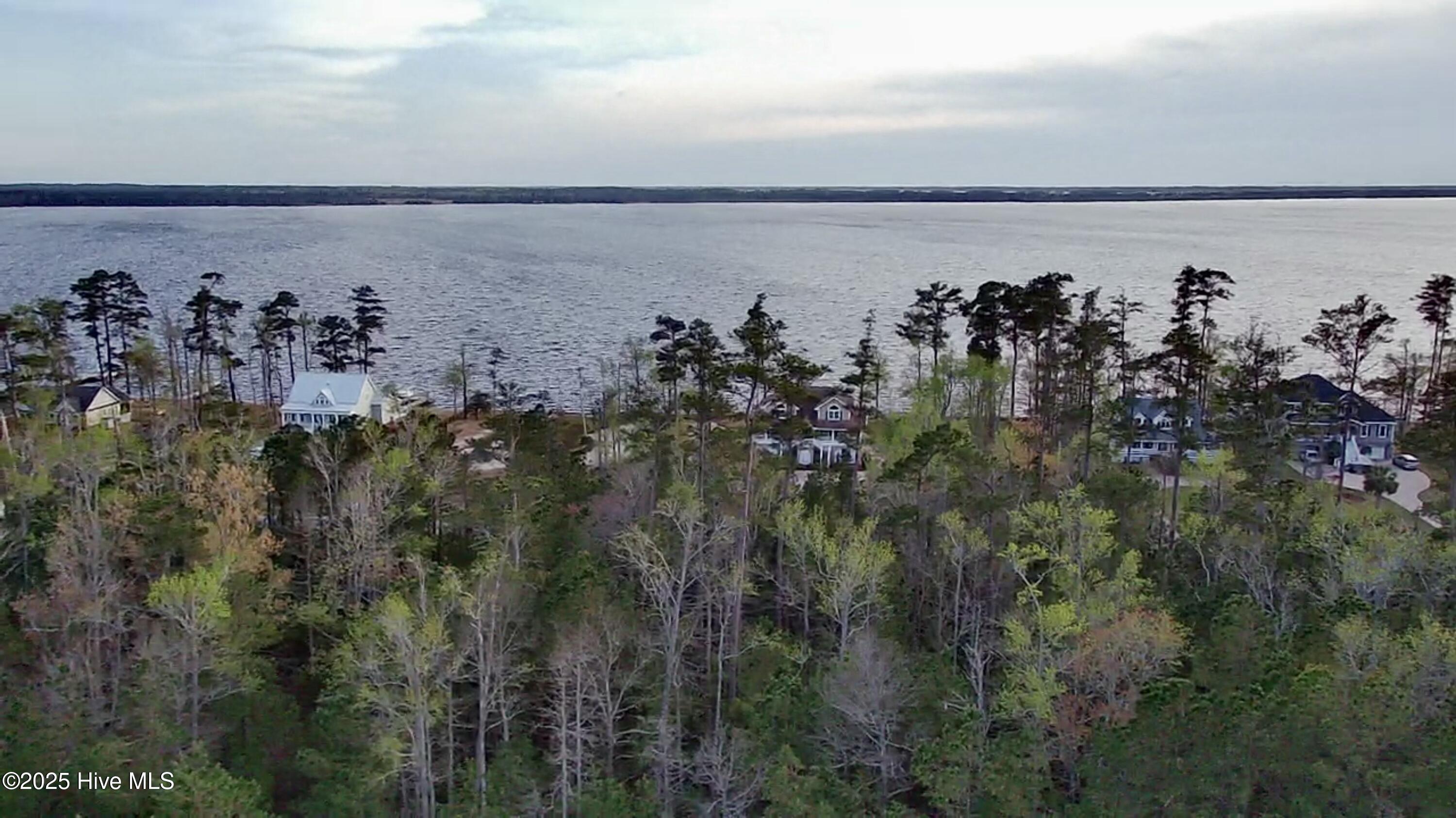 217 E Dowry Creek Property Photo 6
