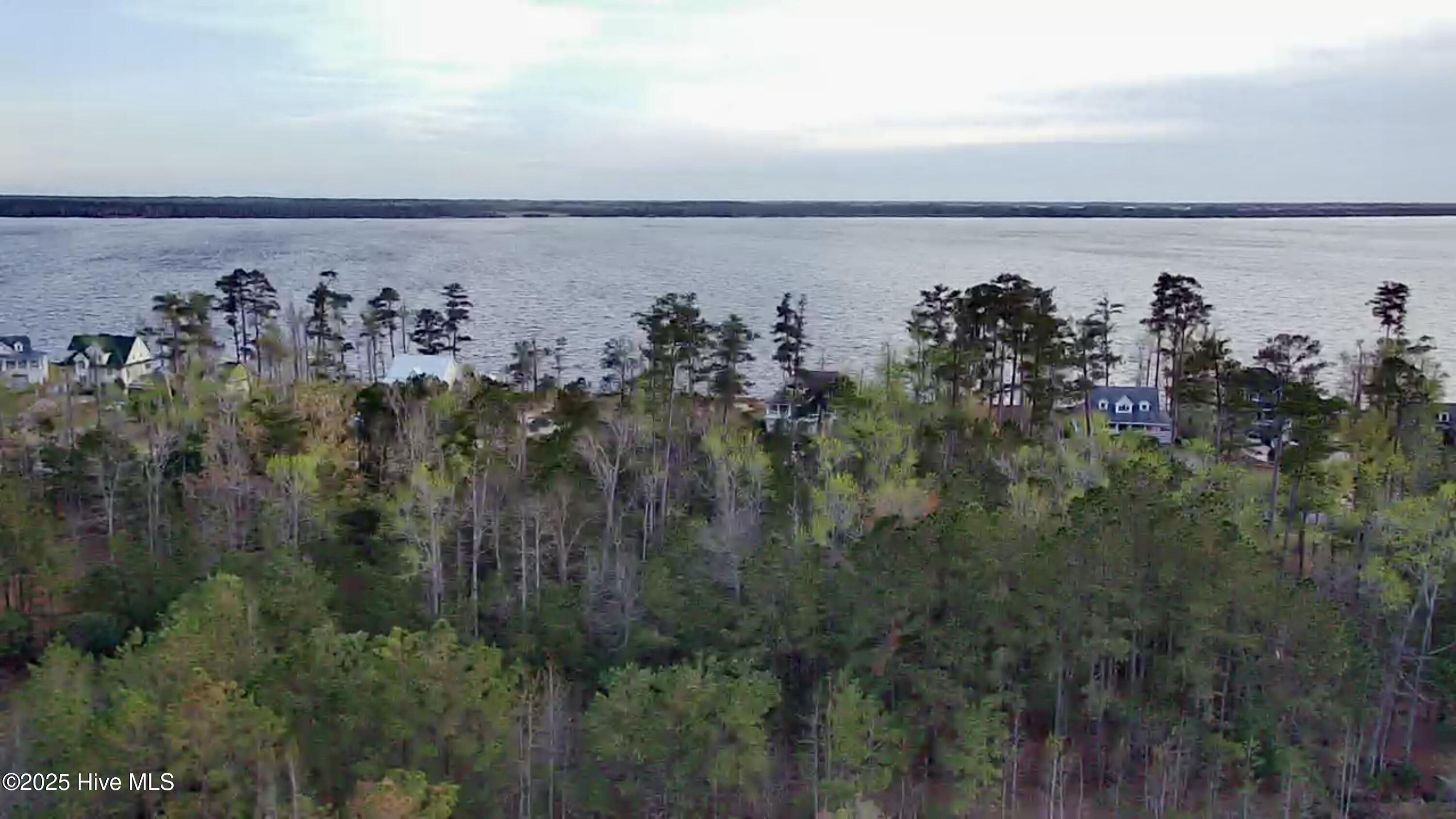 217 E Dowry Creek Property Photo 7