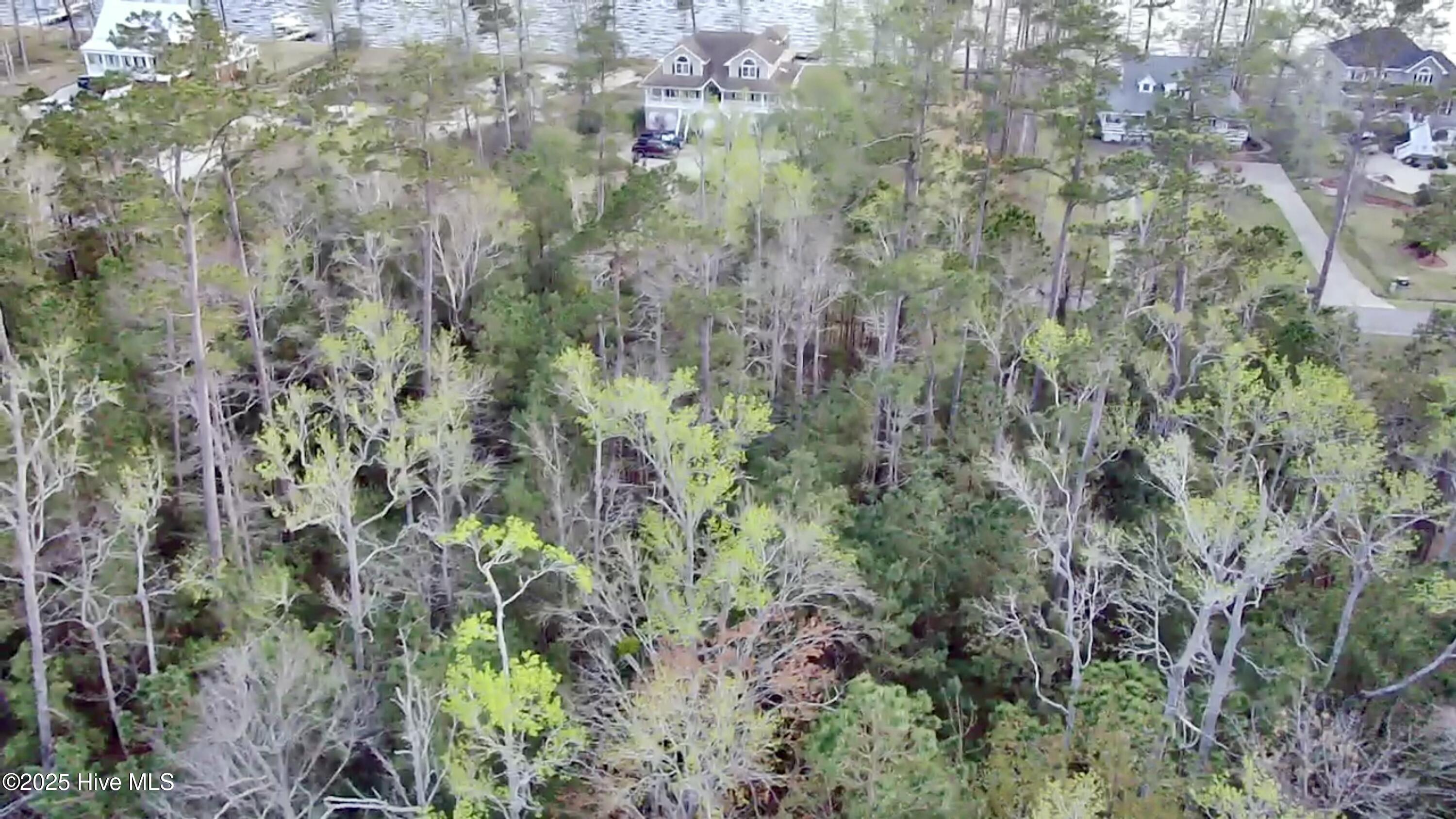 217 E Dowry Creek Property Photo 8