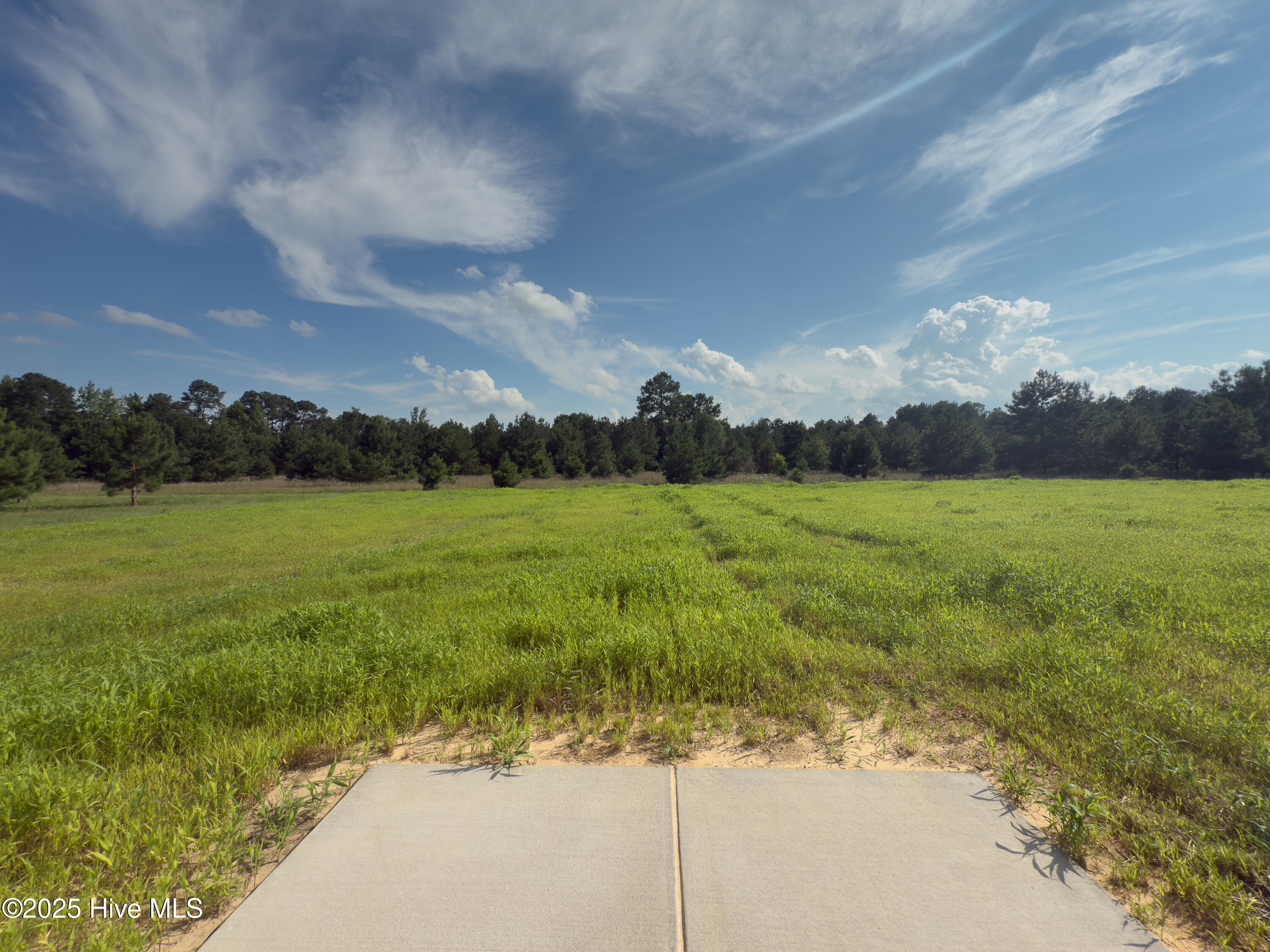 4894 Blue Springs Road Property Photo 20