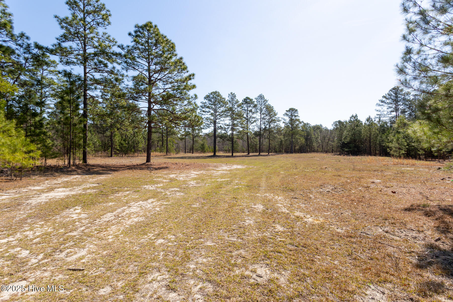 210 Palmer Grey Court Property Photo 7