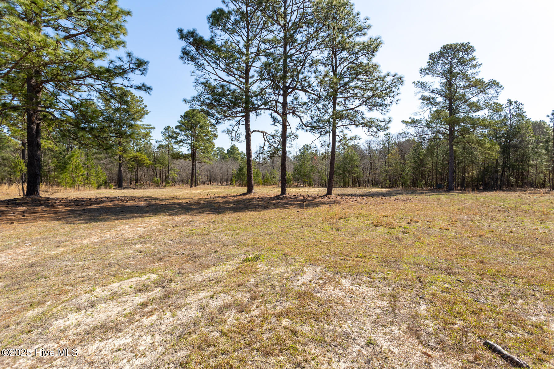 210 Palmer Grey Court Property Photo 8