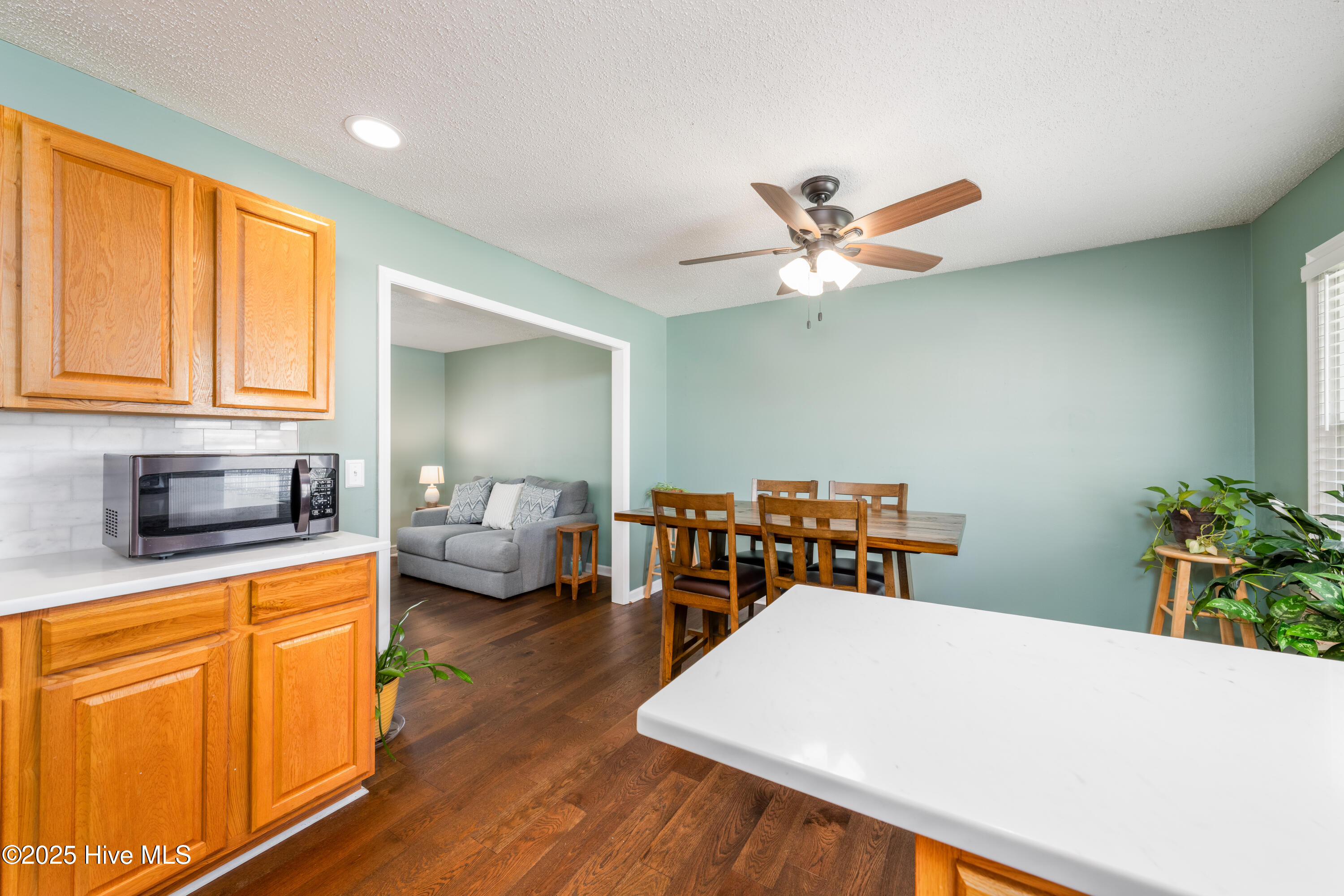 233 Heritage Park Drive Property Photo 9