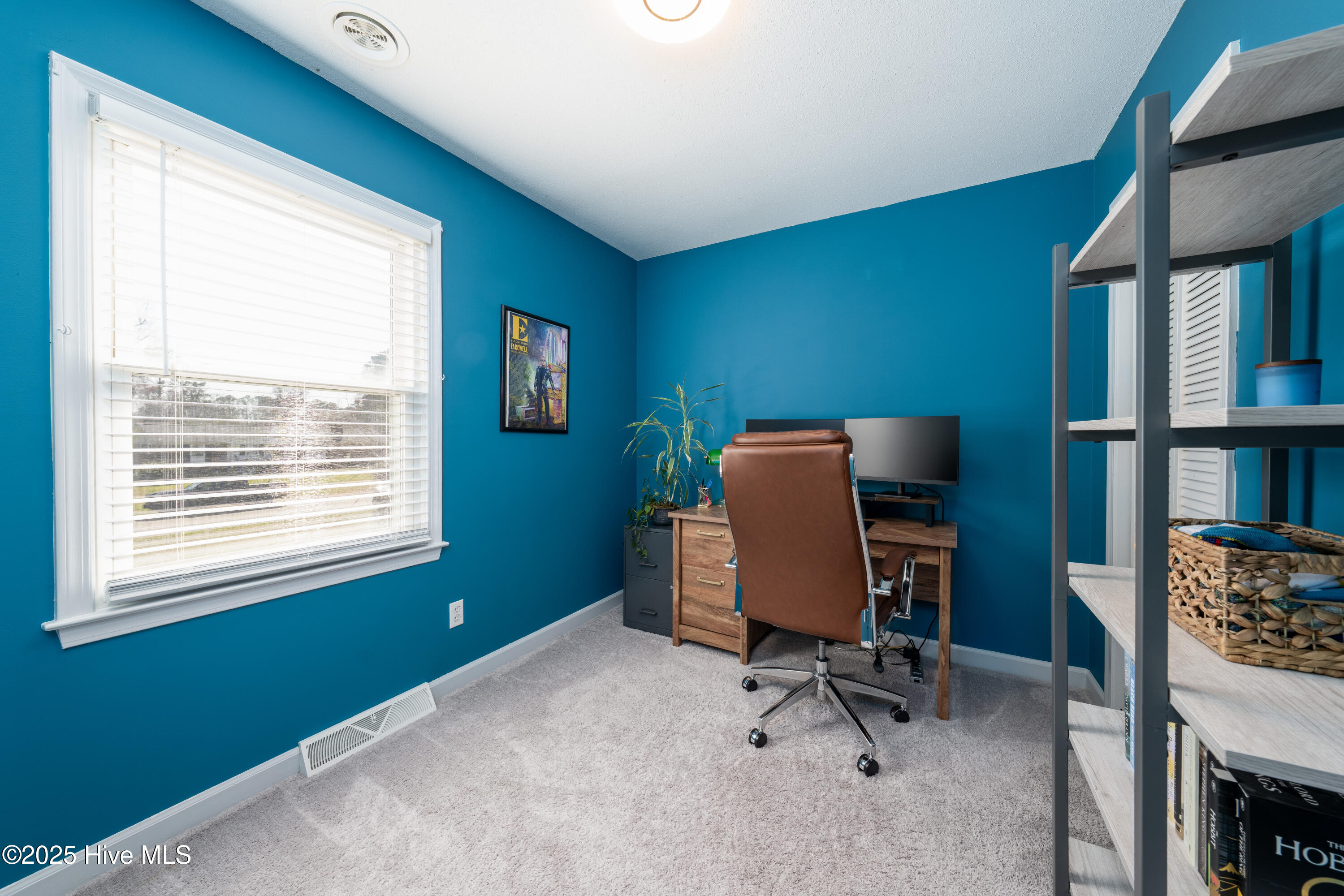 233 Heritage Park Drive Property Photo 19