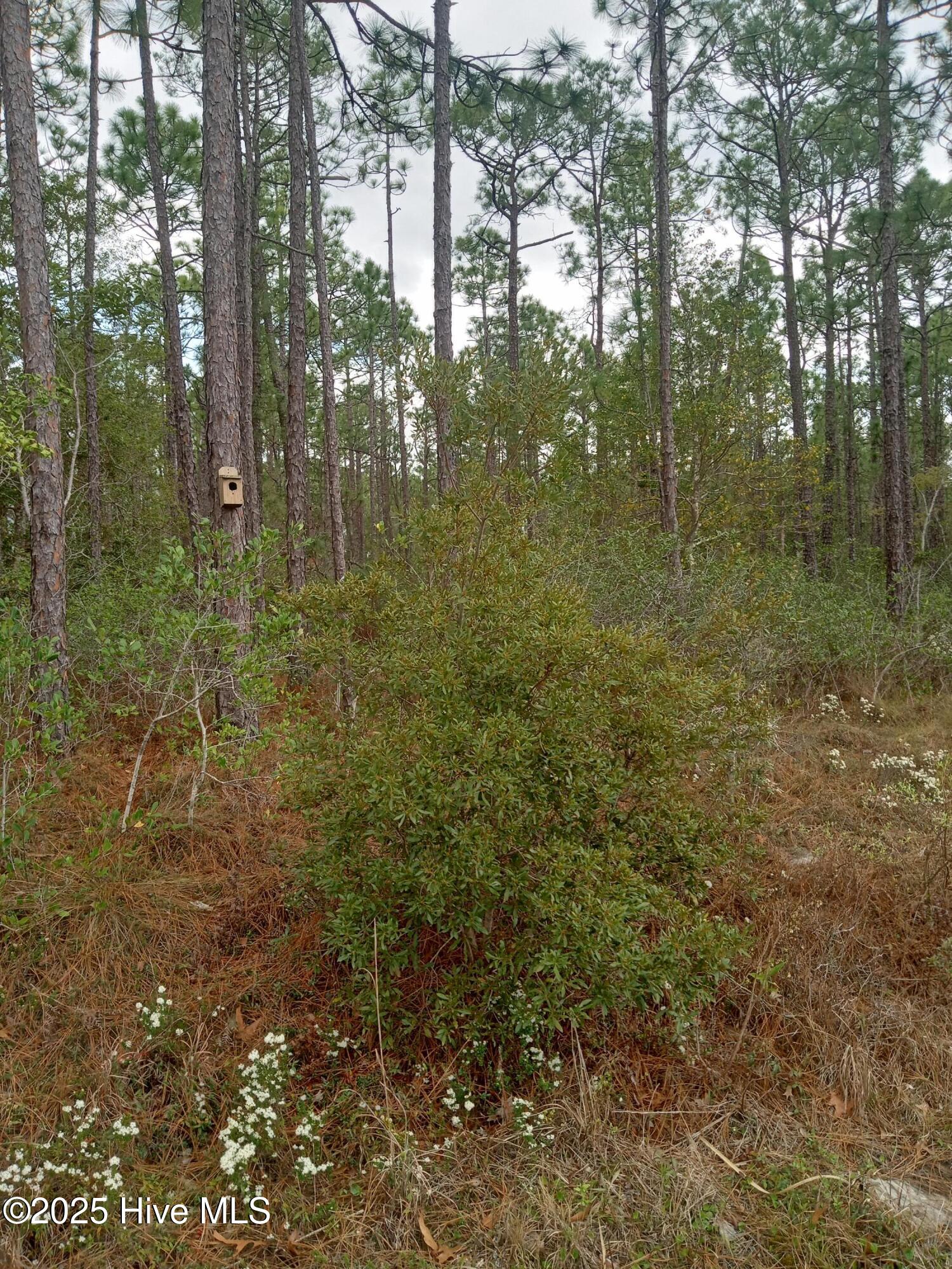 Lot 61 W South Shore Drive Property Photo 1