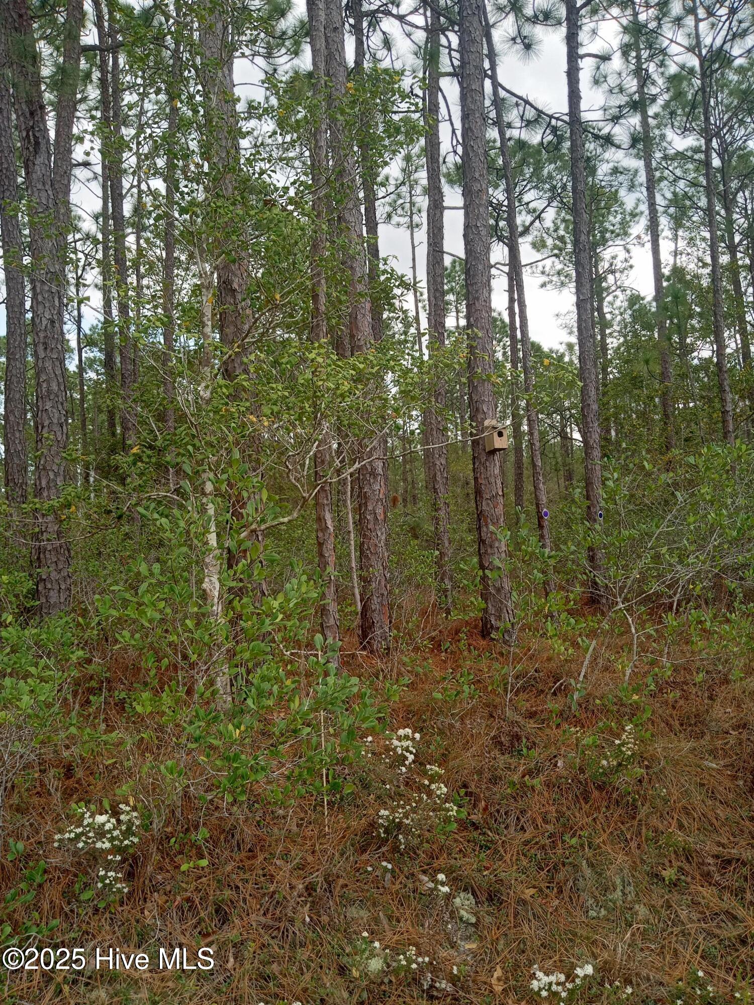 Lot 61 W South Shore Drive Property Photo 2