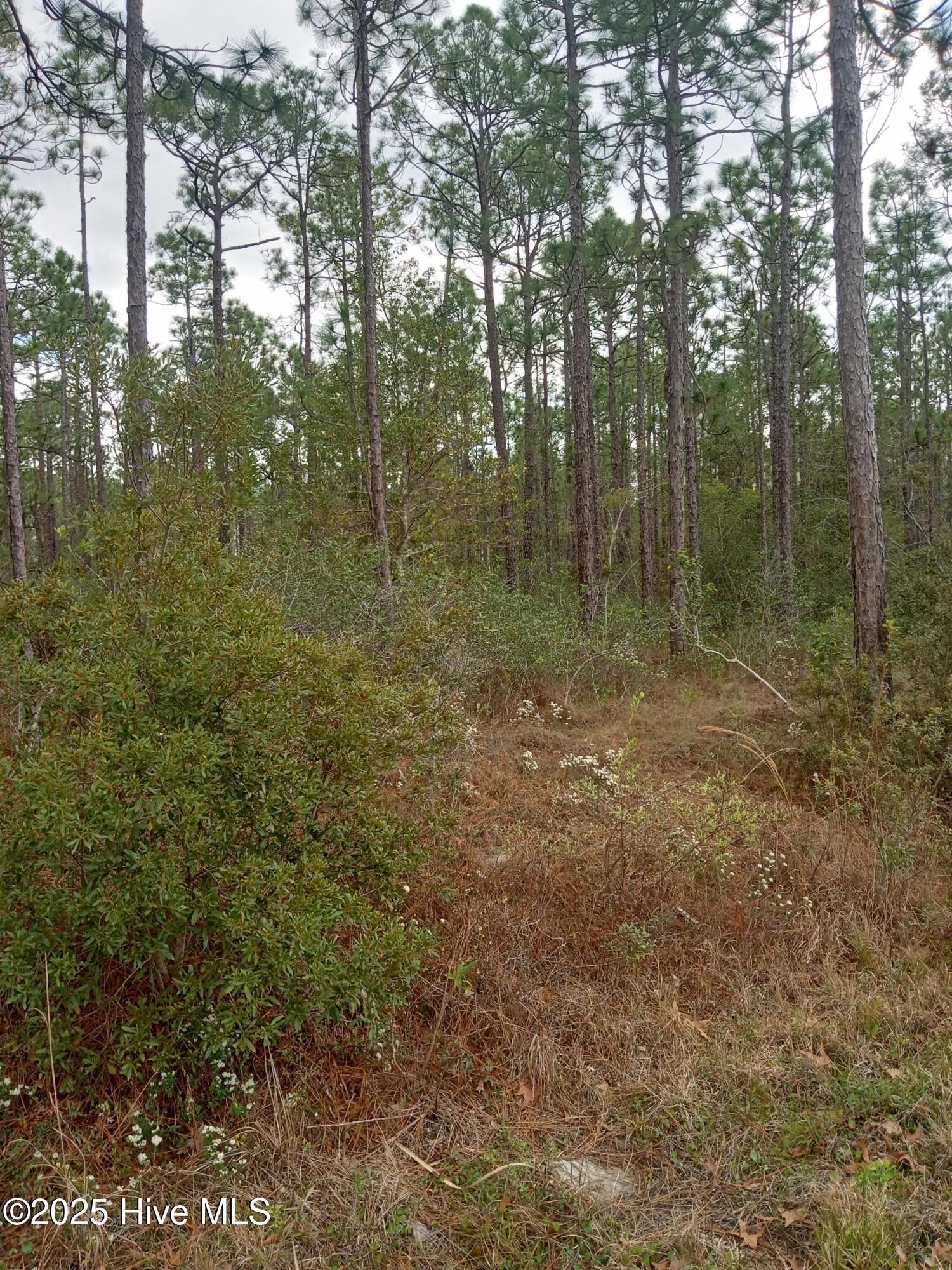 Lot 61 W South Shore Drive Property Photo 3