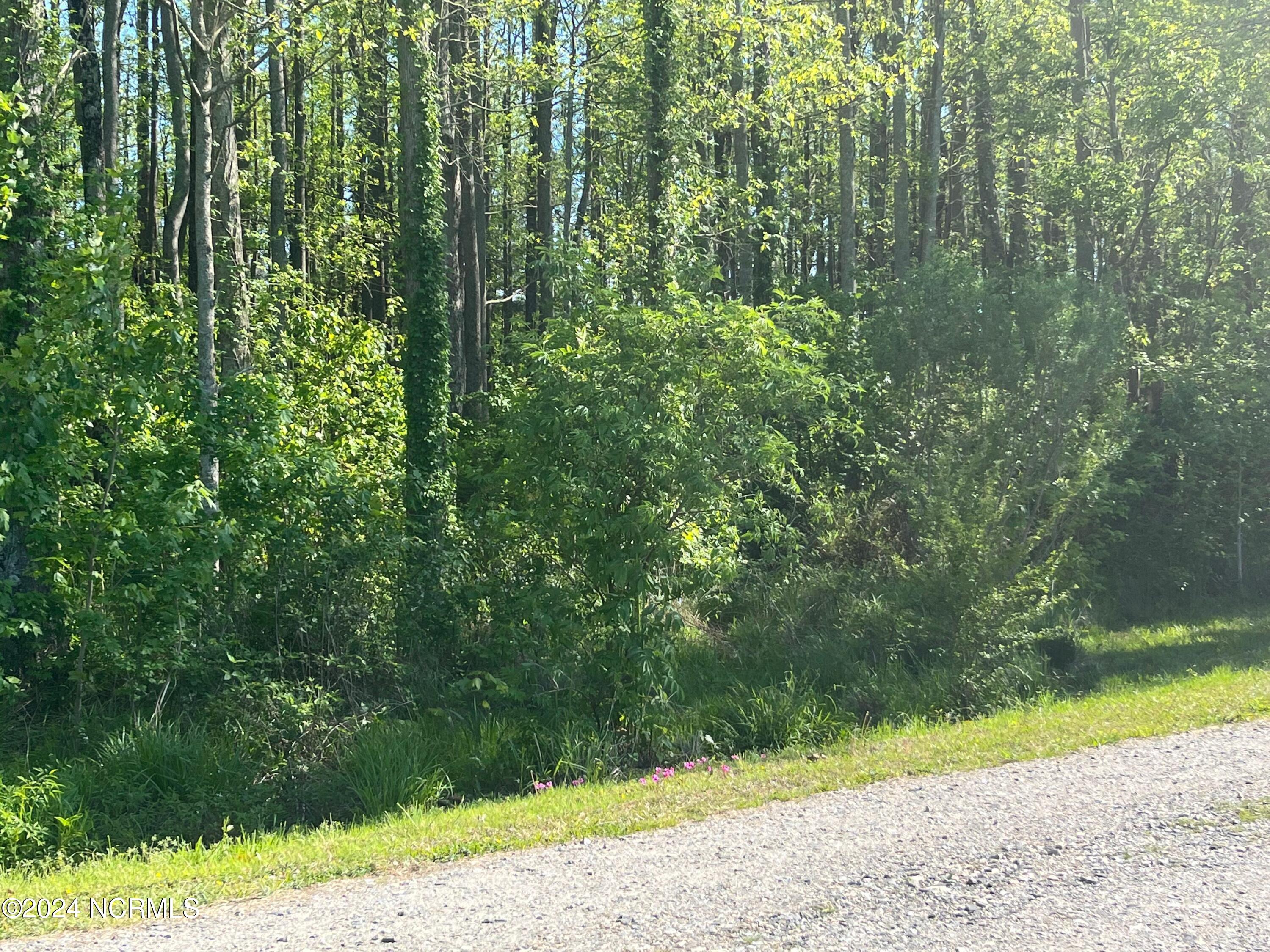 579 Summerby Road Property Photo 16