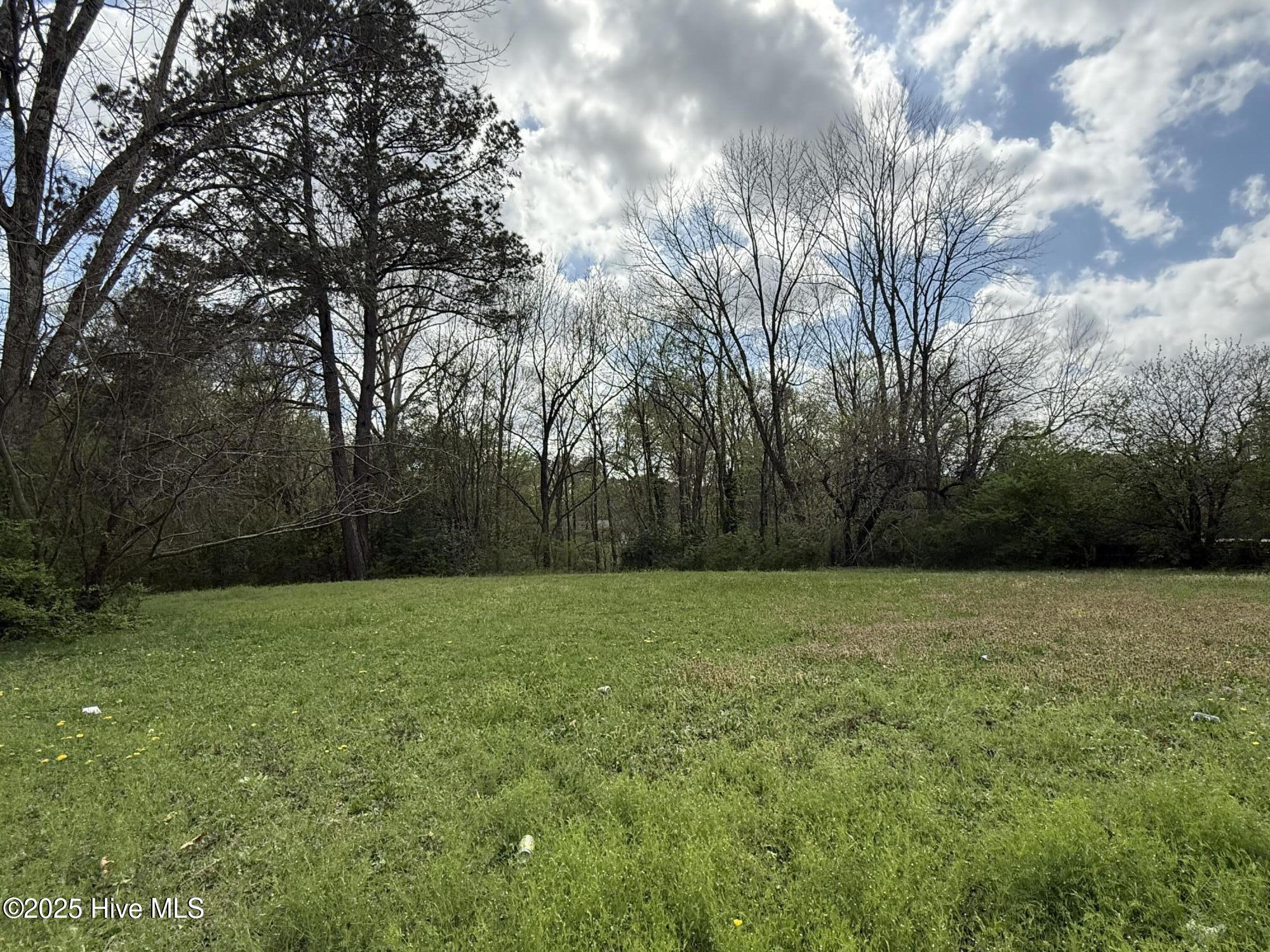 1404 Hillsdale Drive Property Photo 1