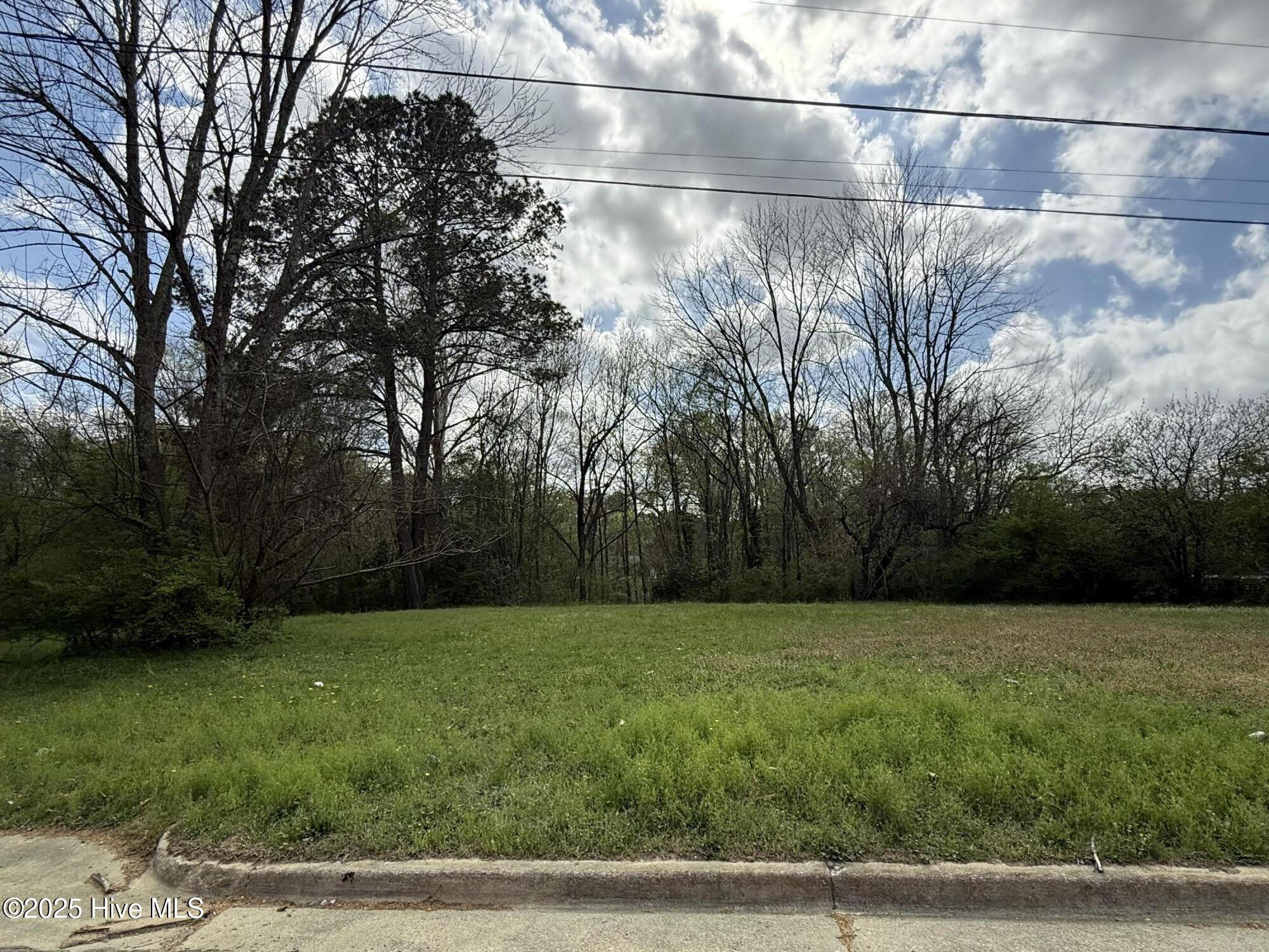 1404 Hillsdale Drive Property Photo 2