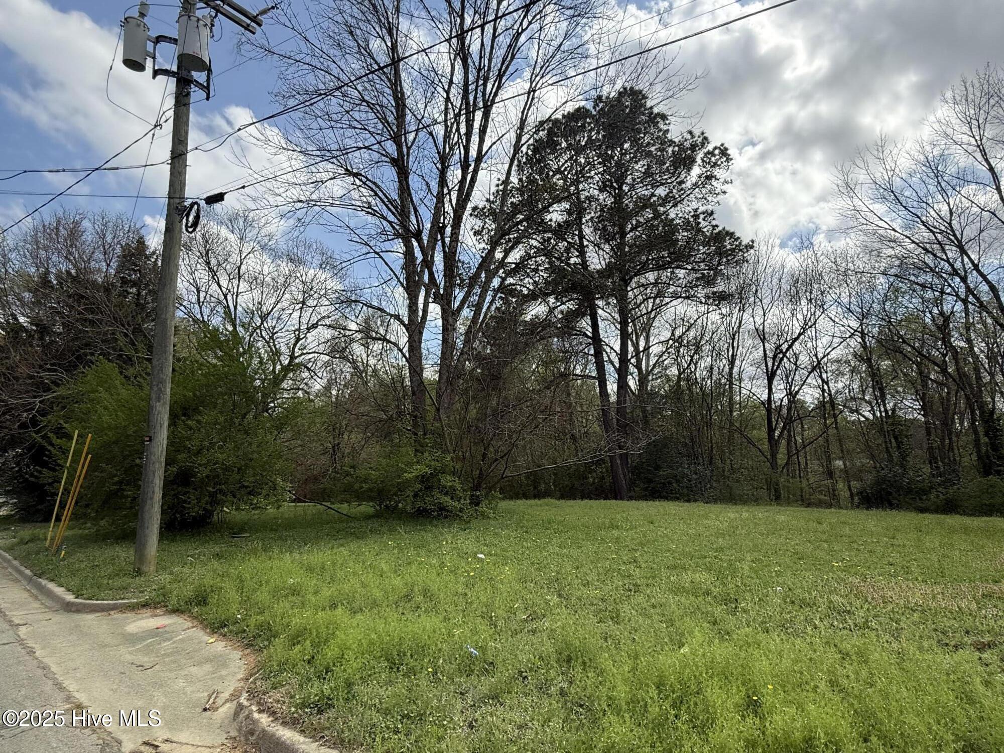 1404 Hillsdale Drive Property Photo 4