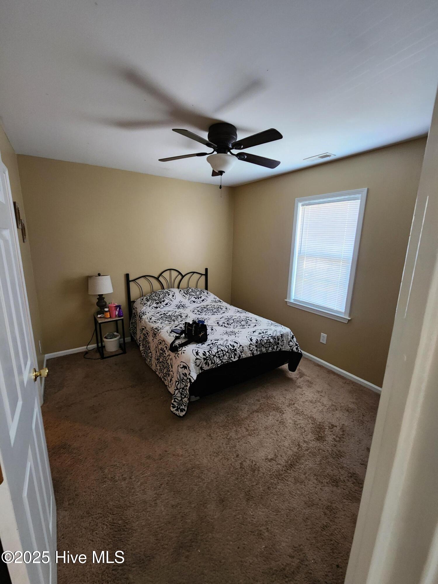 117 Gladiola Drive Property Photo 7