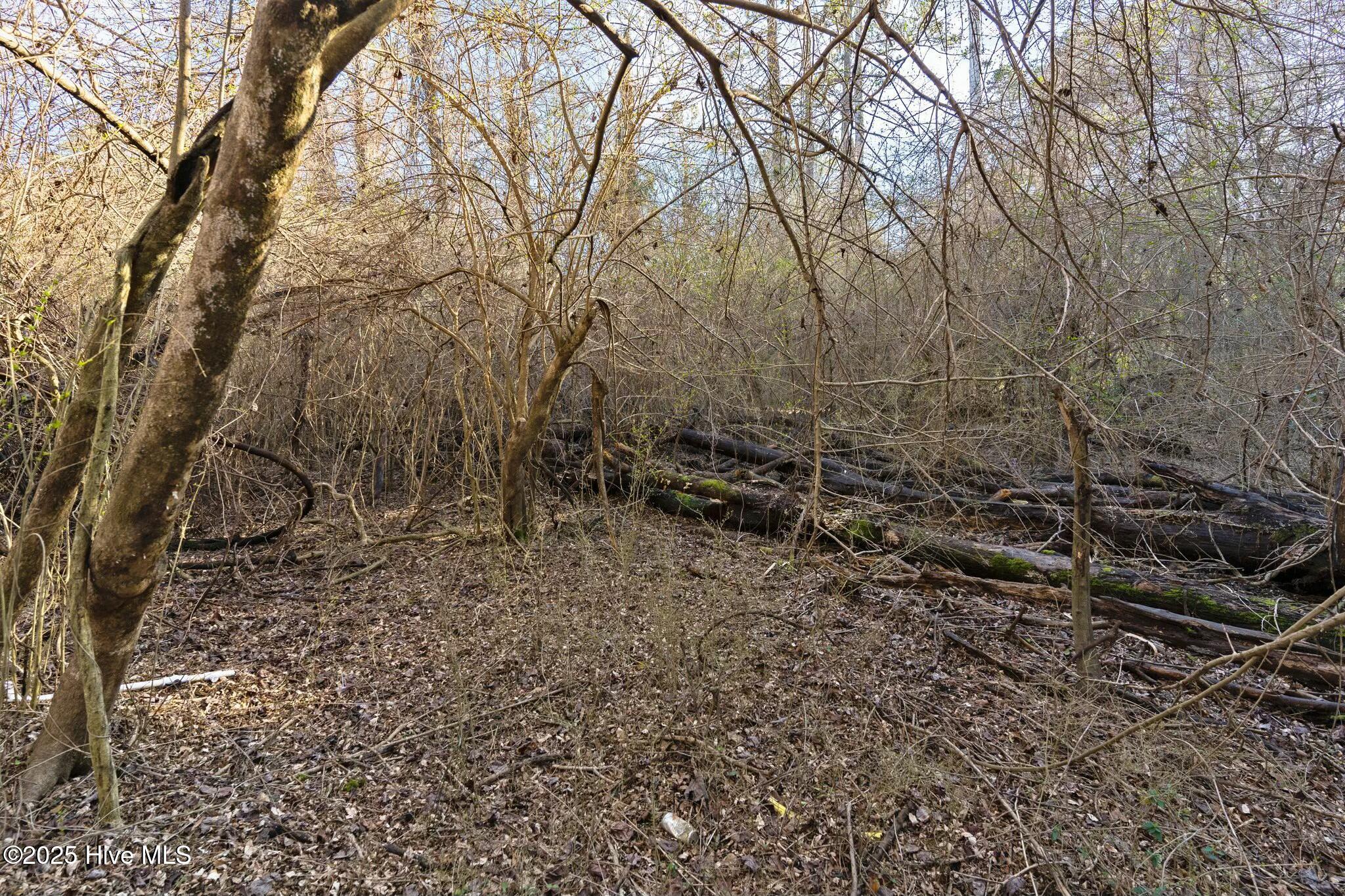 1050 Navaho Trail Property Photo 6