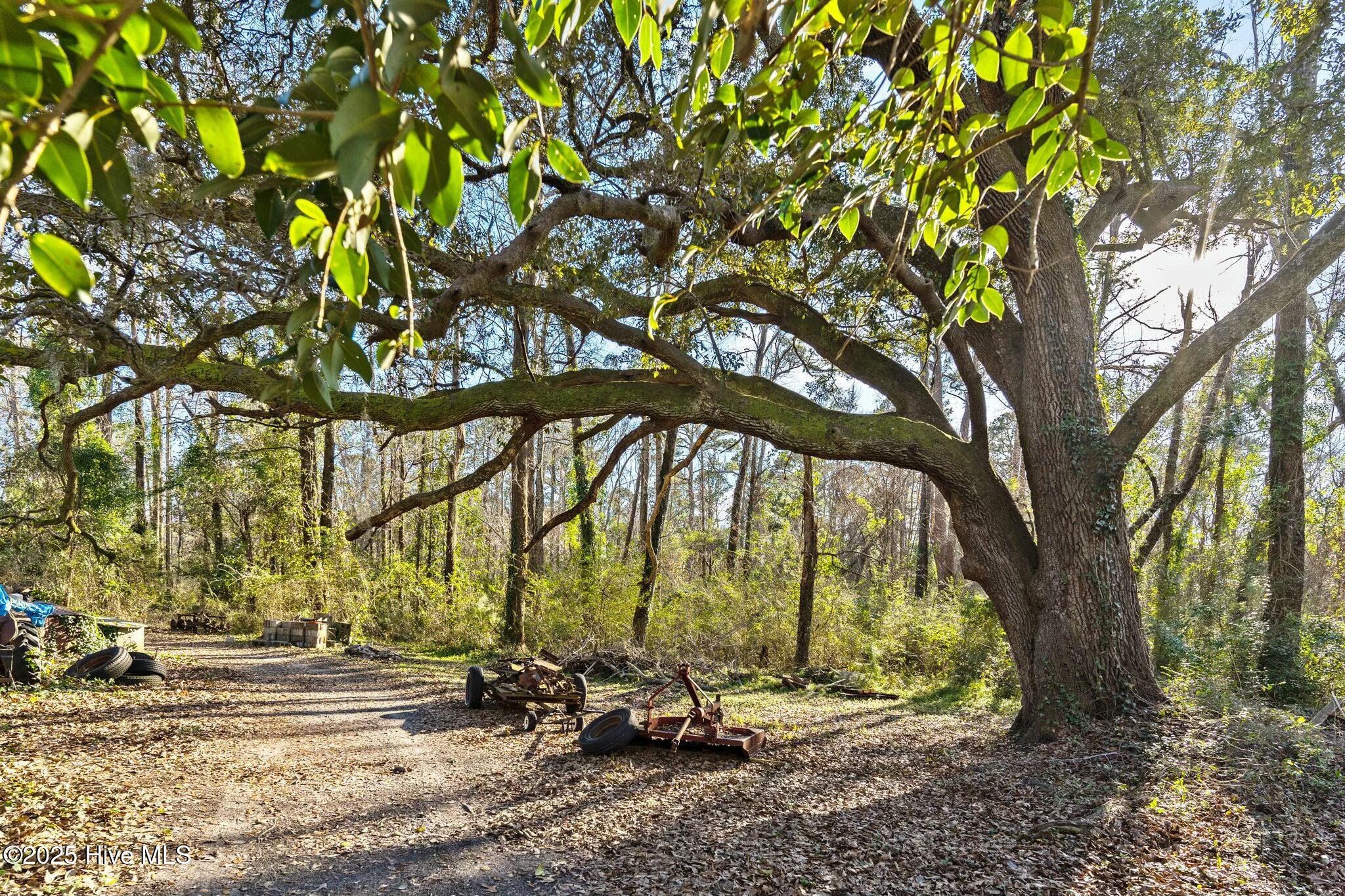 1050 Navaho Trail Property Photo 10
