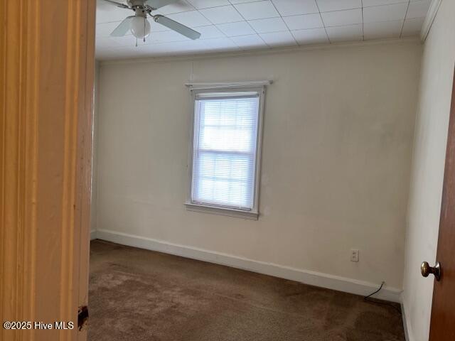 202 Victoria Avenue Property Photo 10