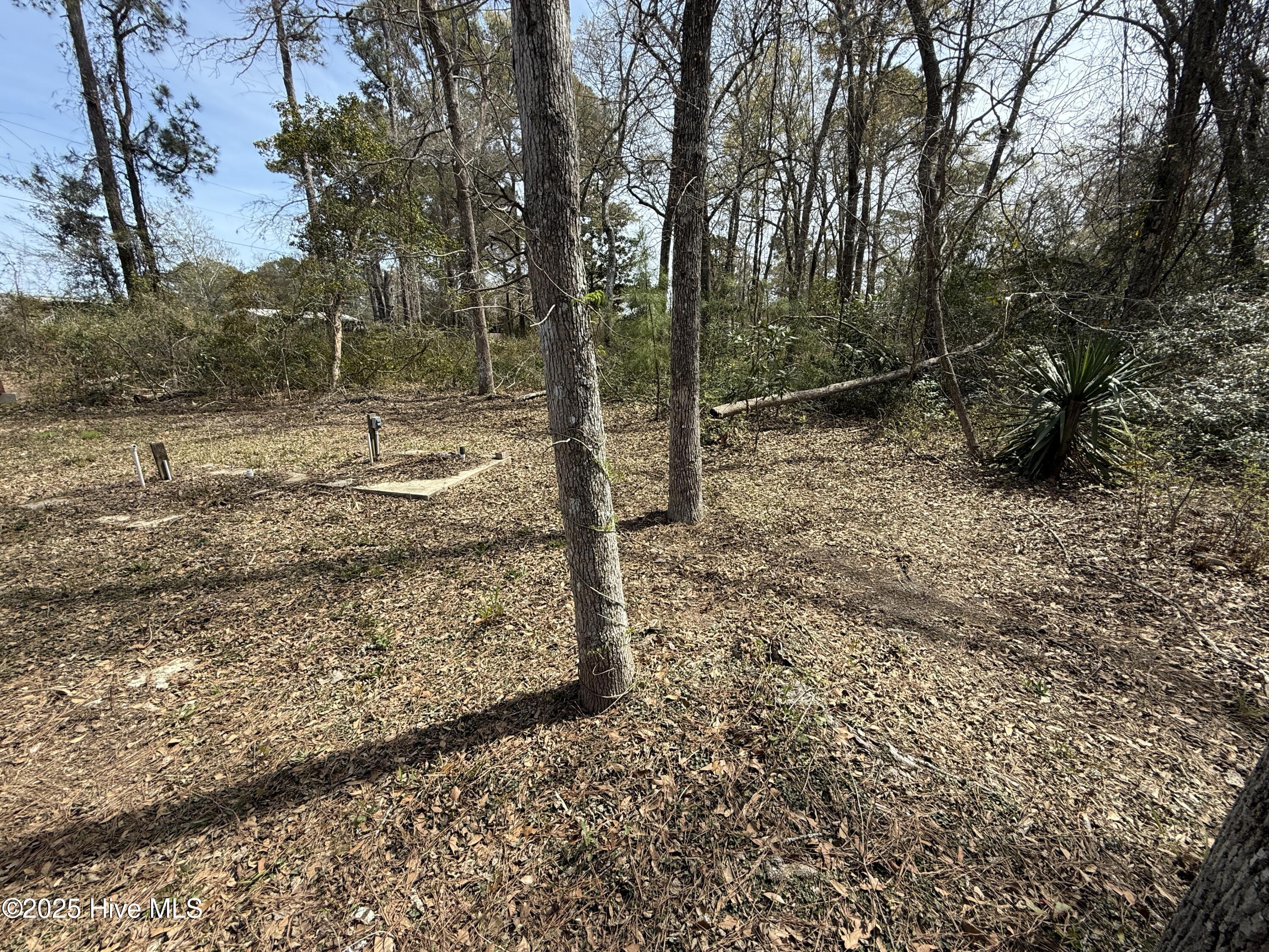 3085 Gill Net Avenue Property Photo 19