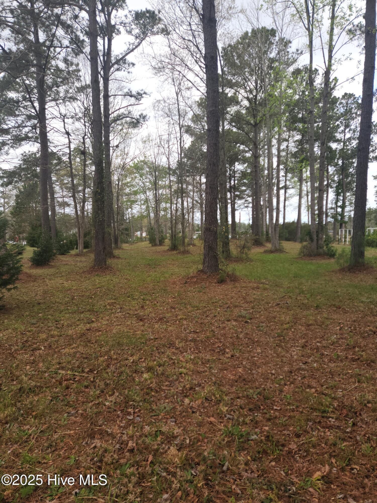 310 Southern Plantation Drive Property Photo 9