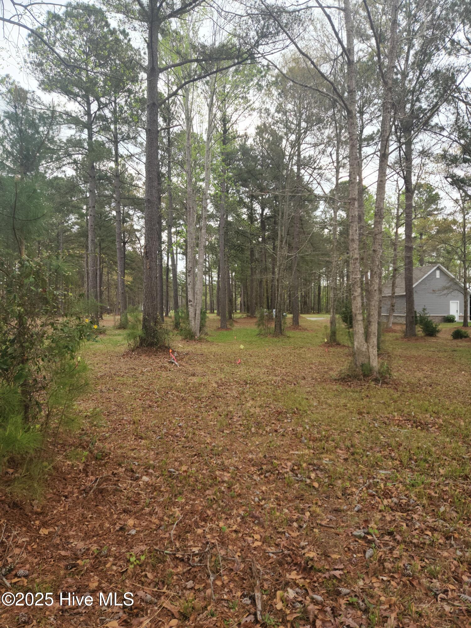 310 Southern Plantation Drive Property Photo 10