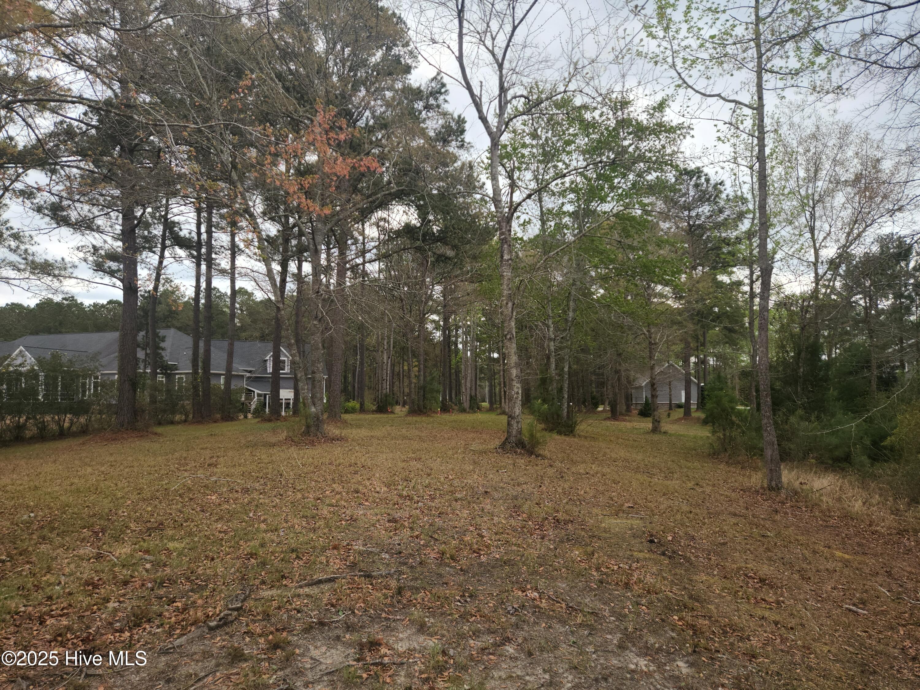 310 Southern Plantation Drive Property Photo 18