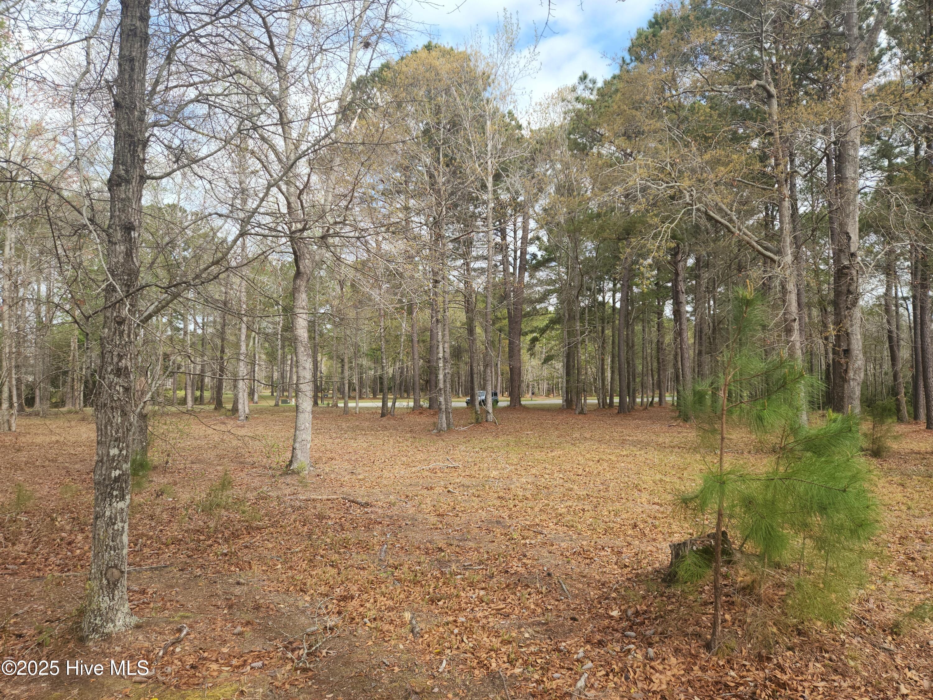 960 Southern Plantation Drive Property Photo 3